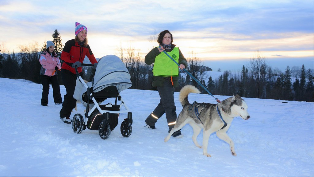 Obóz rekreacyjno sportowy w Zakopanem