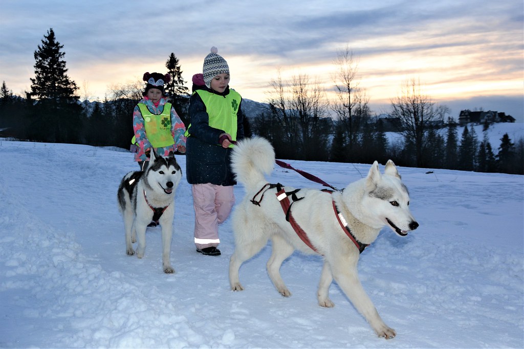 Obóz rekreacyjno sportowy w Zakopanem