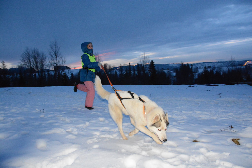 Obóz rekreacyjno sportowy w Zakopanem