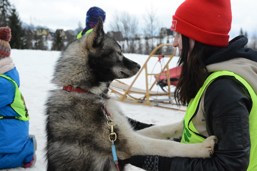 Obóz rekreacyjno sportowy w Zakopanem