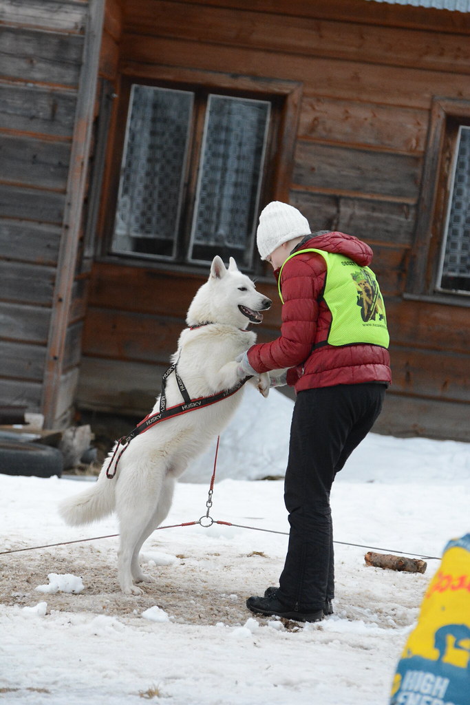 Obóz rekreacyjno sportowy w Zakopanem