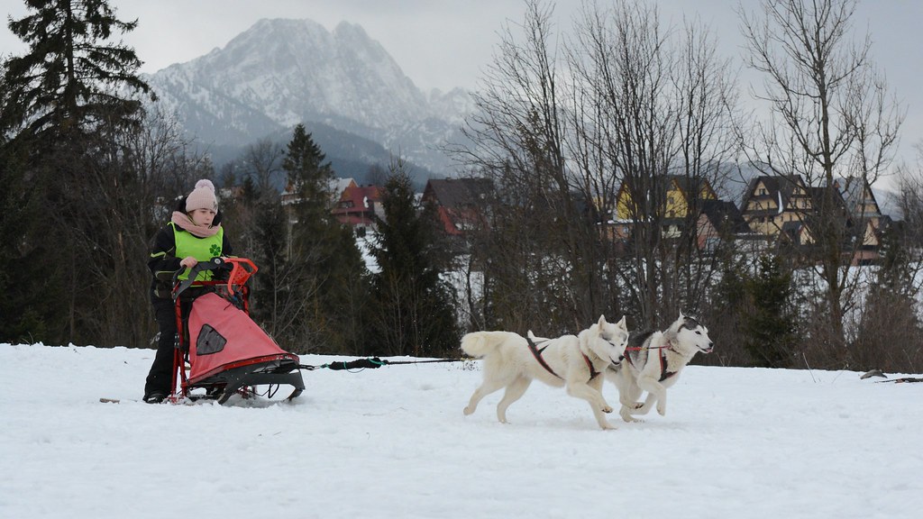 Obóz rekreacyjno sportowy w Zakopanem
