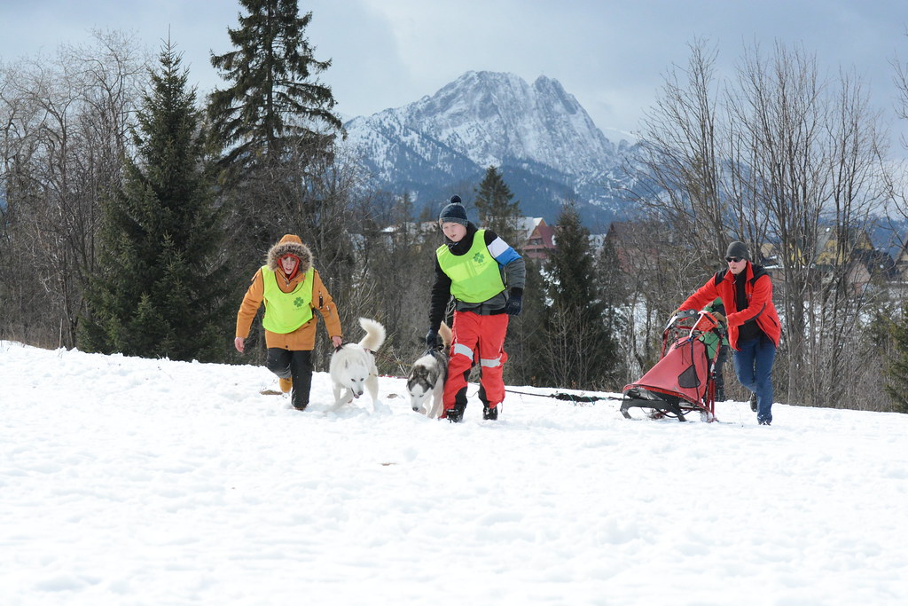 Obóz rekreacyjno sportowy w Zakopanem