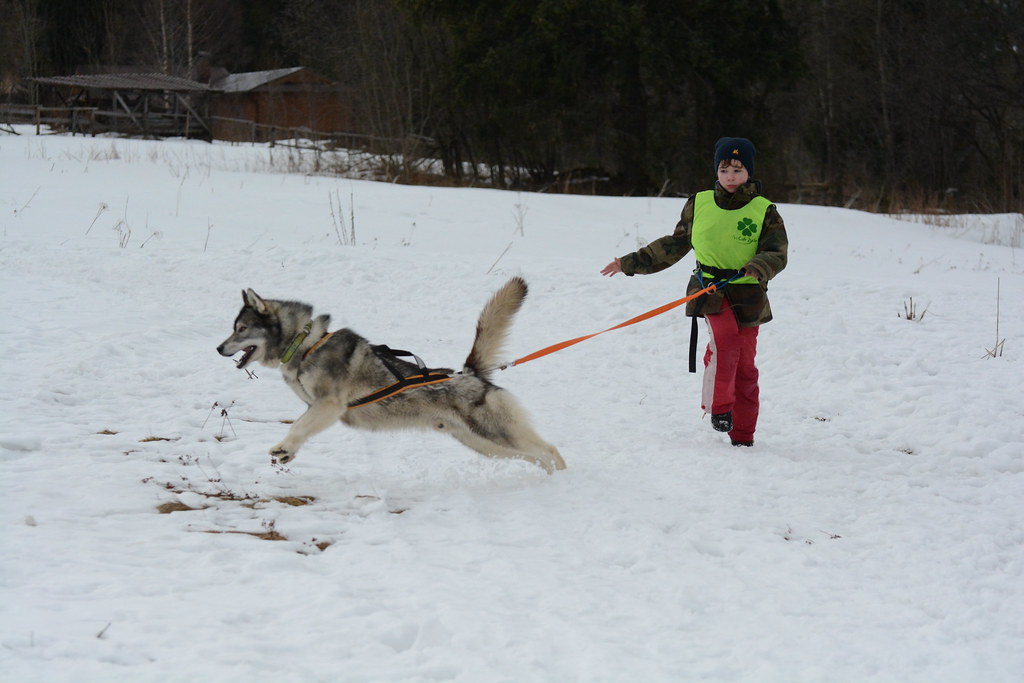 Obóz rekreacyjno sportowy w Zakopanem