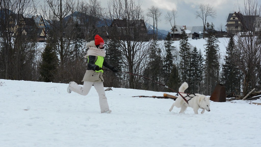 Obóz rekreacyjno sportowy w Zakopanem