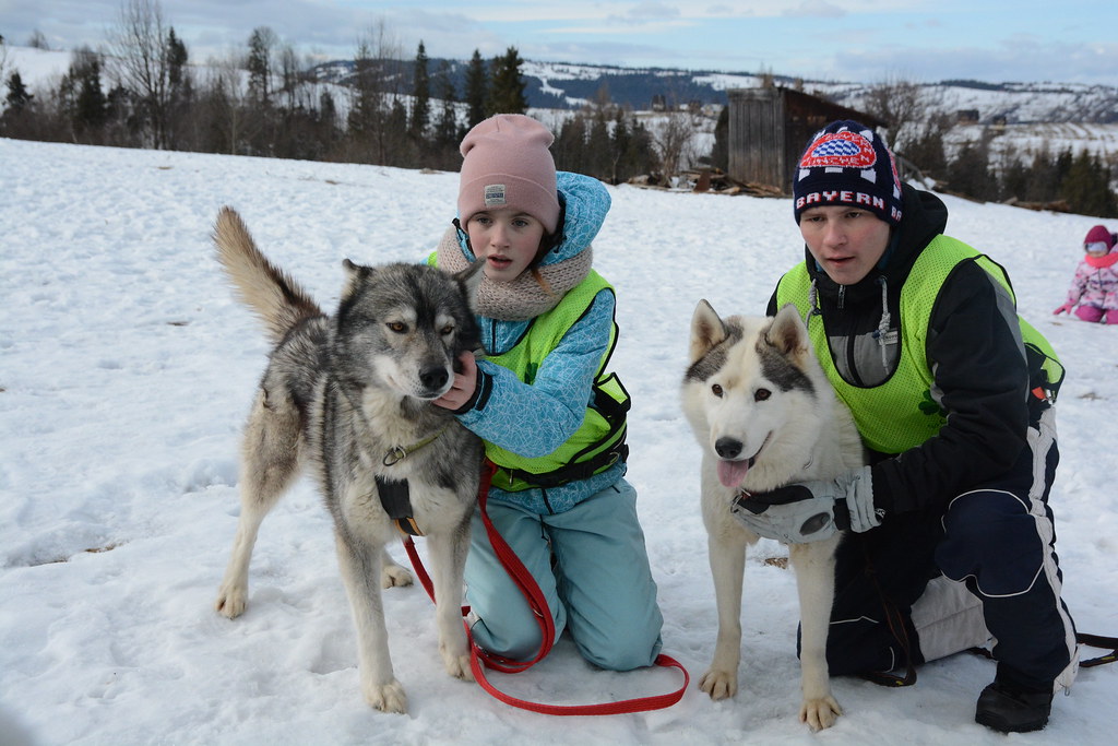 Obóz rekreacyjno sportowy w Zakopanem