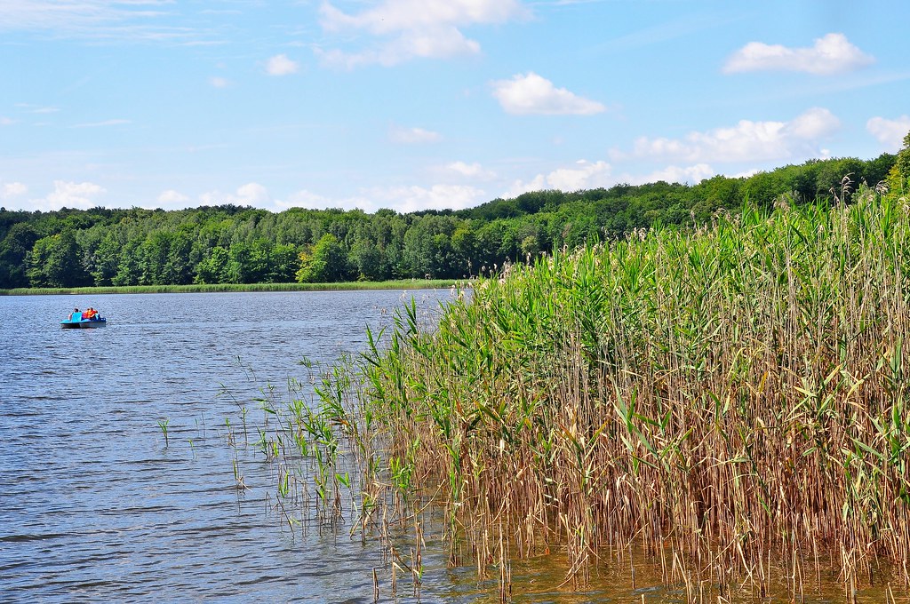 Obóz Rekreacyjno Sportowy w Sarnówku