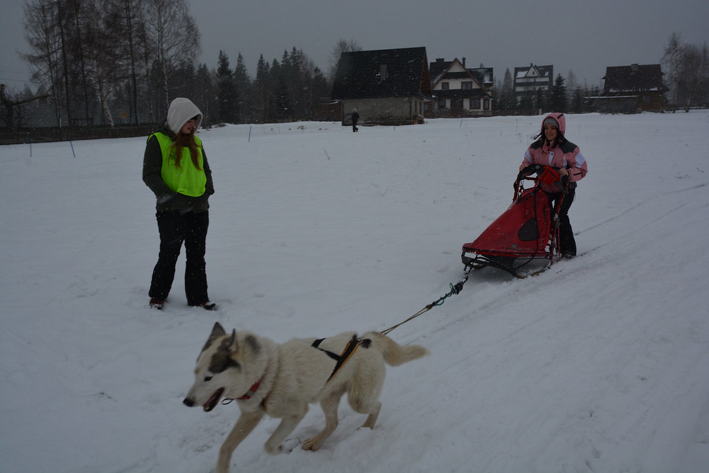 Obóz rekreacyjno sportowy w Zakopanem