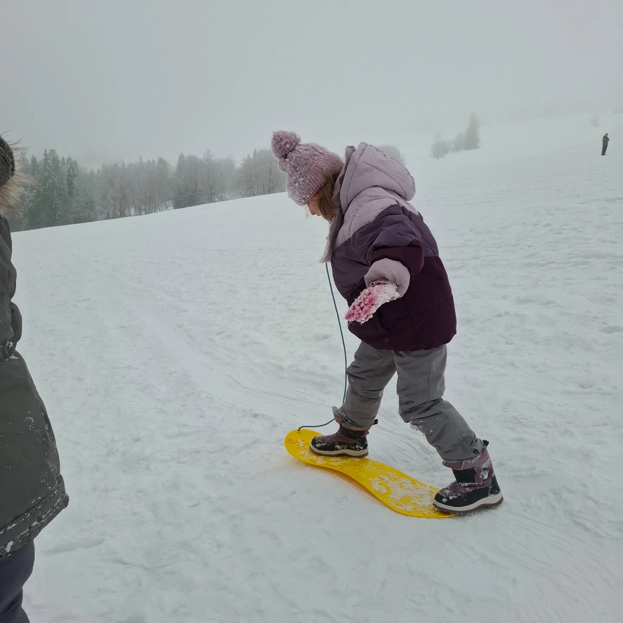 25.01-31.01.2026 Obóz zimowy z psami zaprzęgowymi