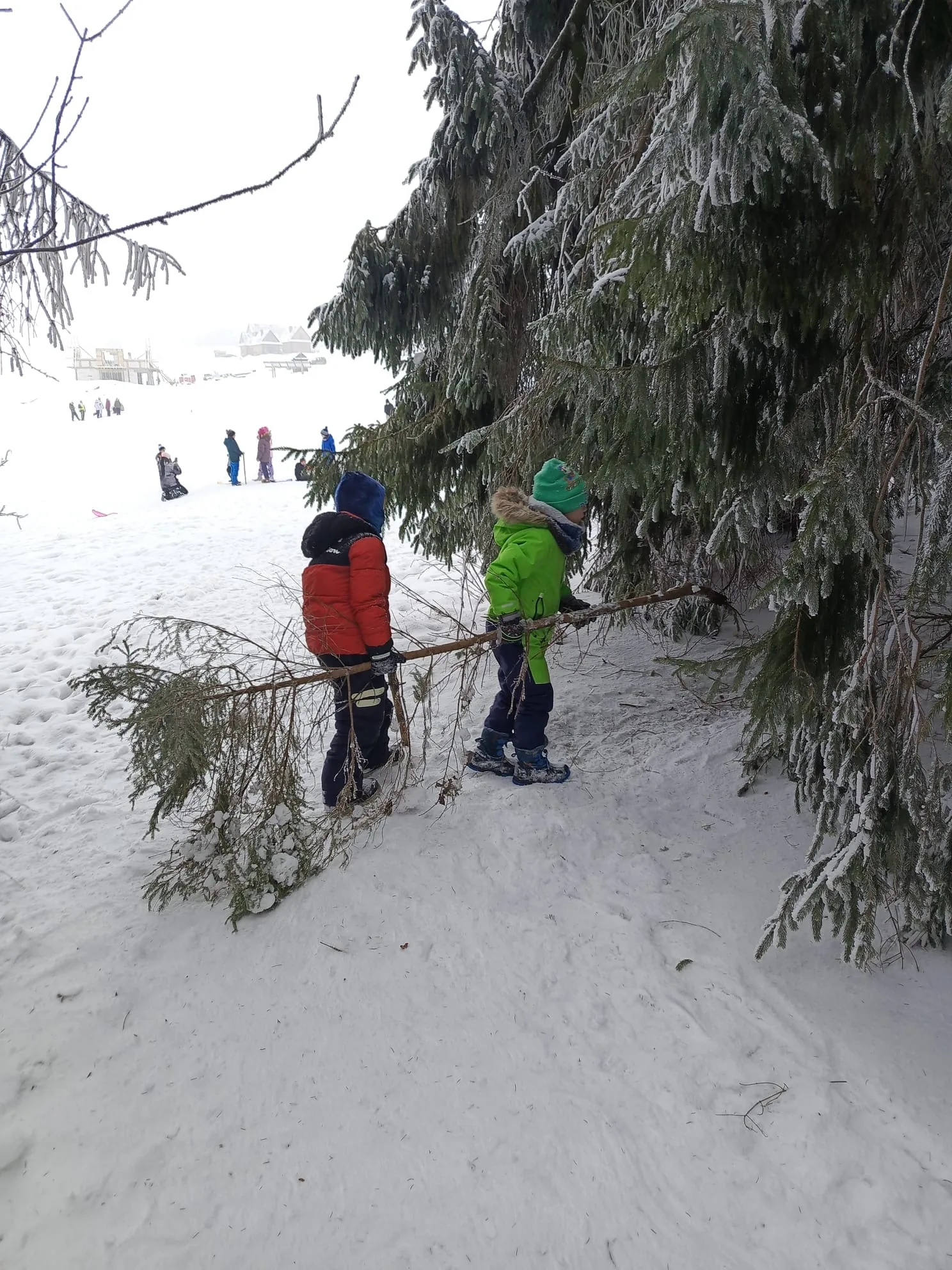 25.01-31.01.2026 Obóz zimowy z psami zaprzęgowymi