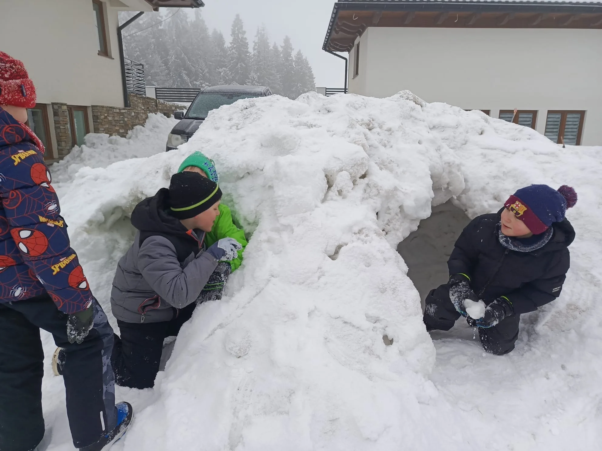 25.01-31.01.2026 Obóz zimowy z psami zaprzęgowymi