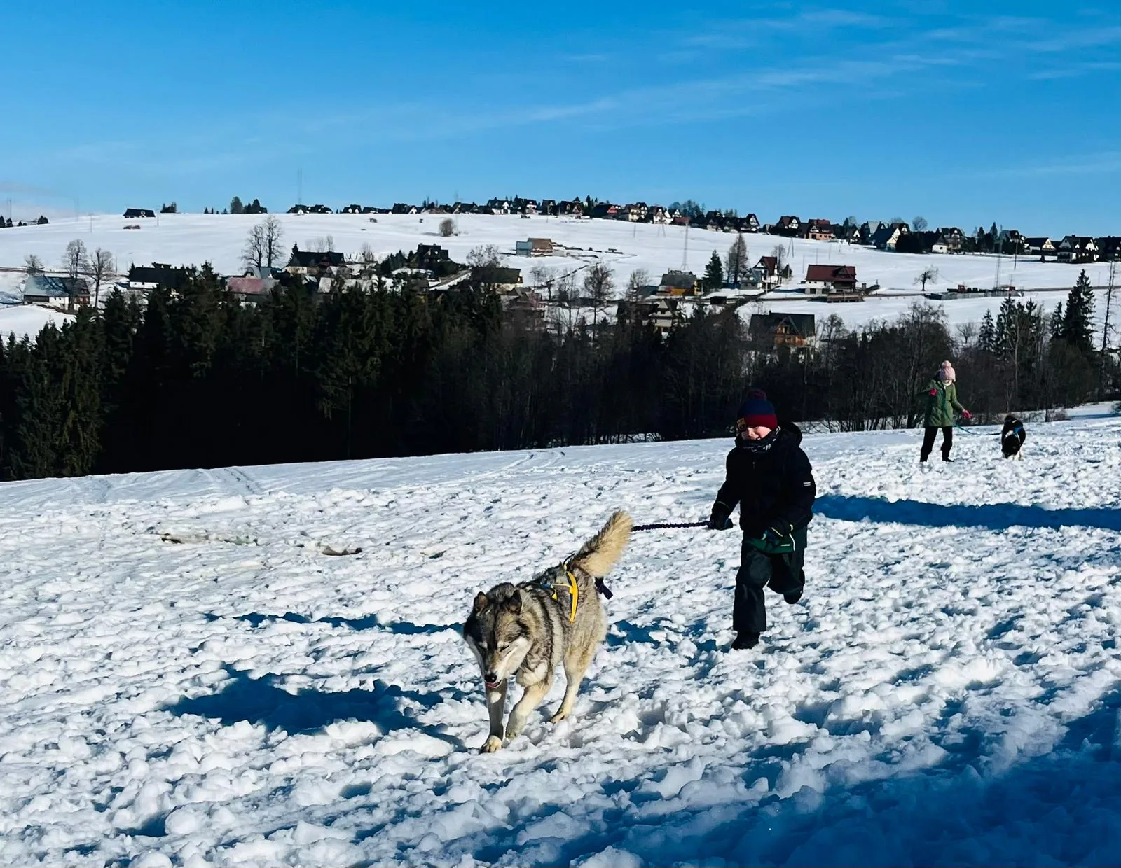 25.01-31.01.2026 Obóz zimowy z psami zaprzęgowymi