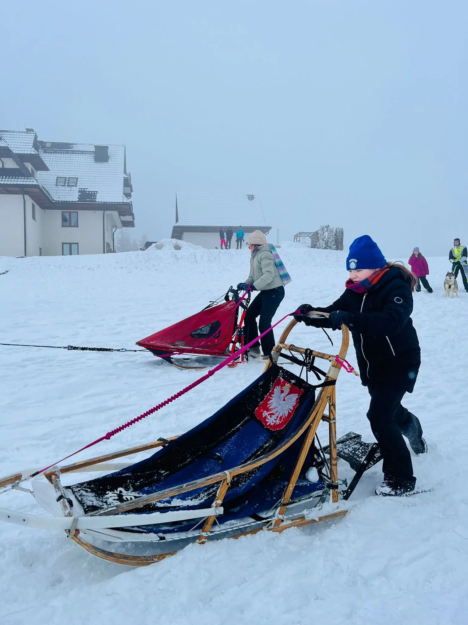 25.01-31.01.2026 Obóz zimowy z psami zaprzęgowymi