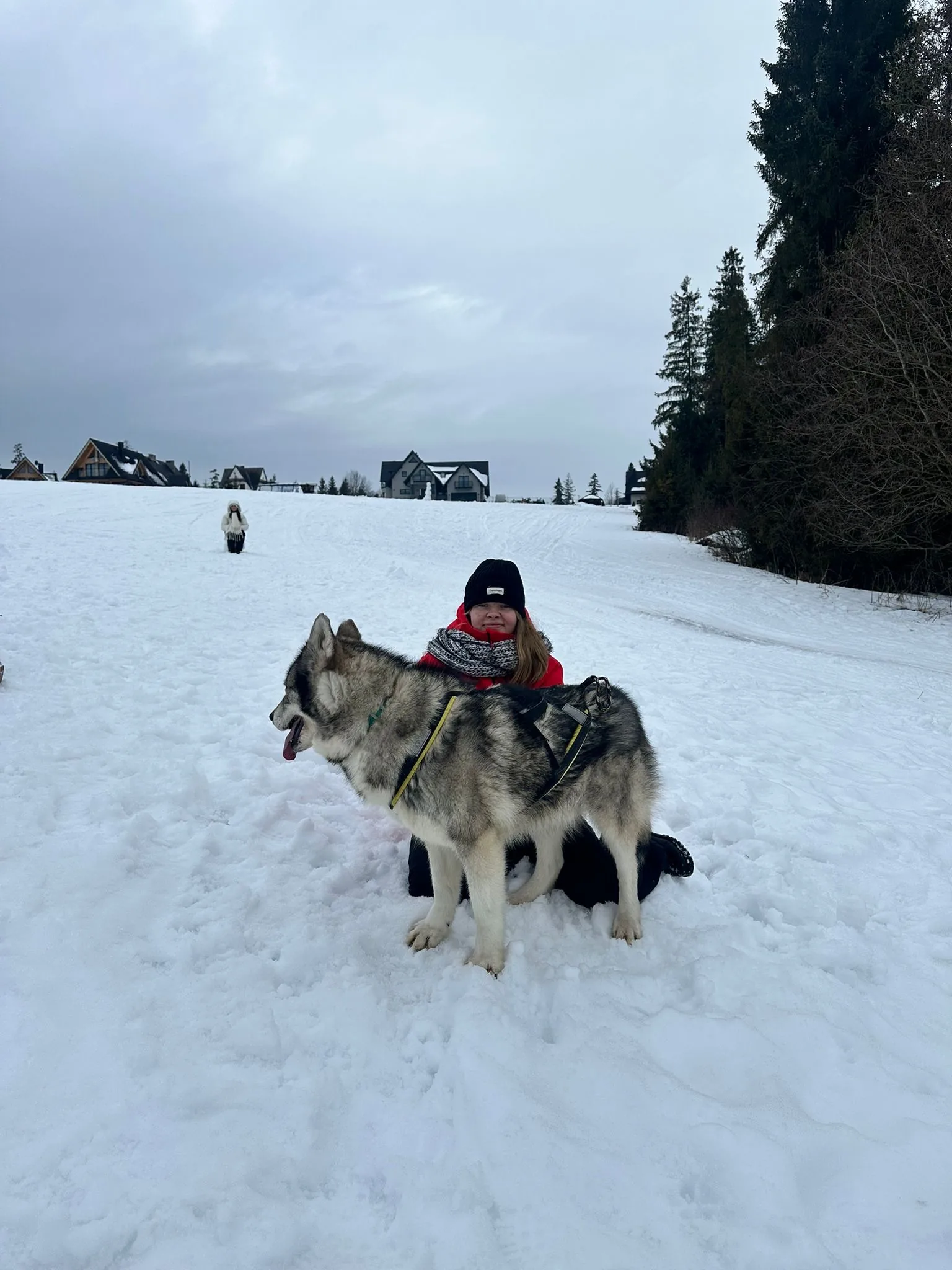 25.01-31.01.2026 Obóz zimowy z psami zaprzęgowymi