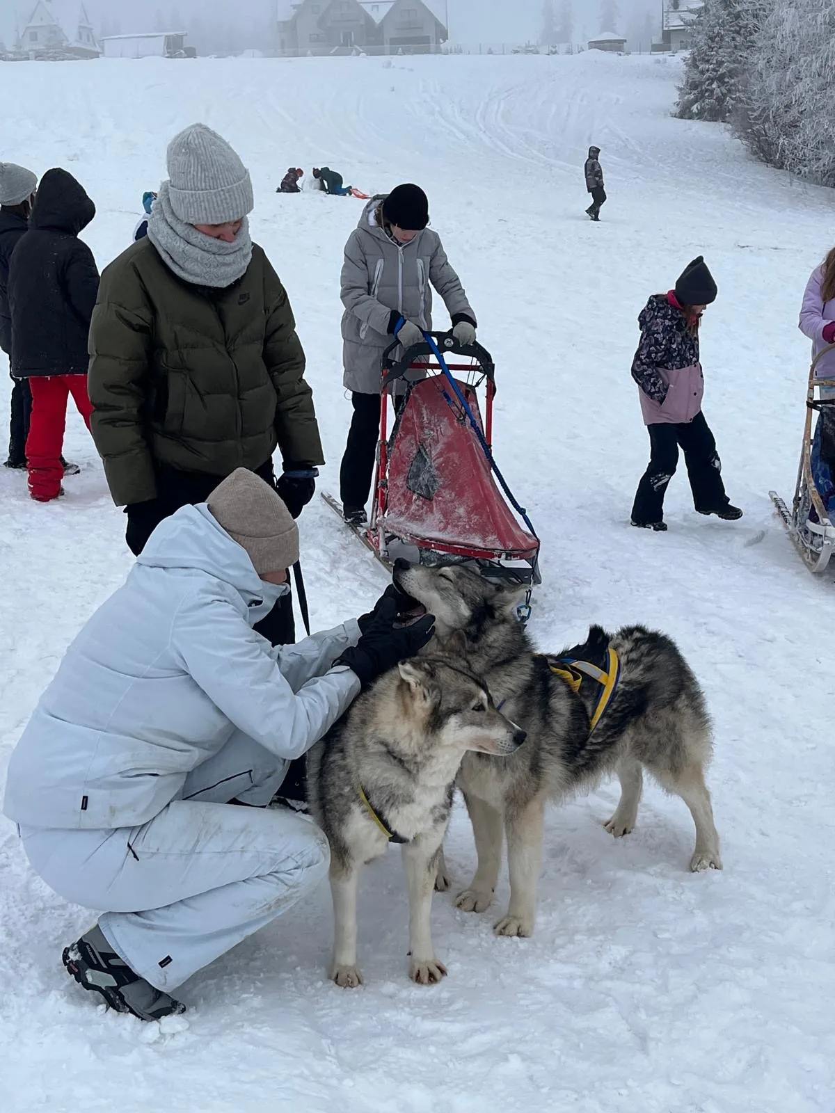 25.01-31.01.2026 Obóz zimowy z psami zaprzęgowymi