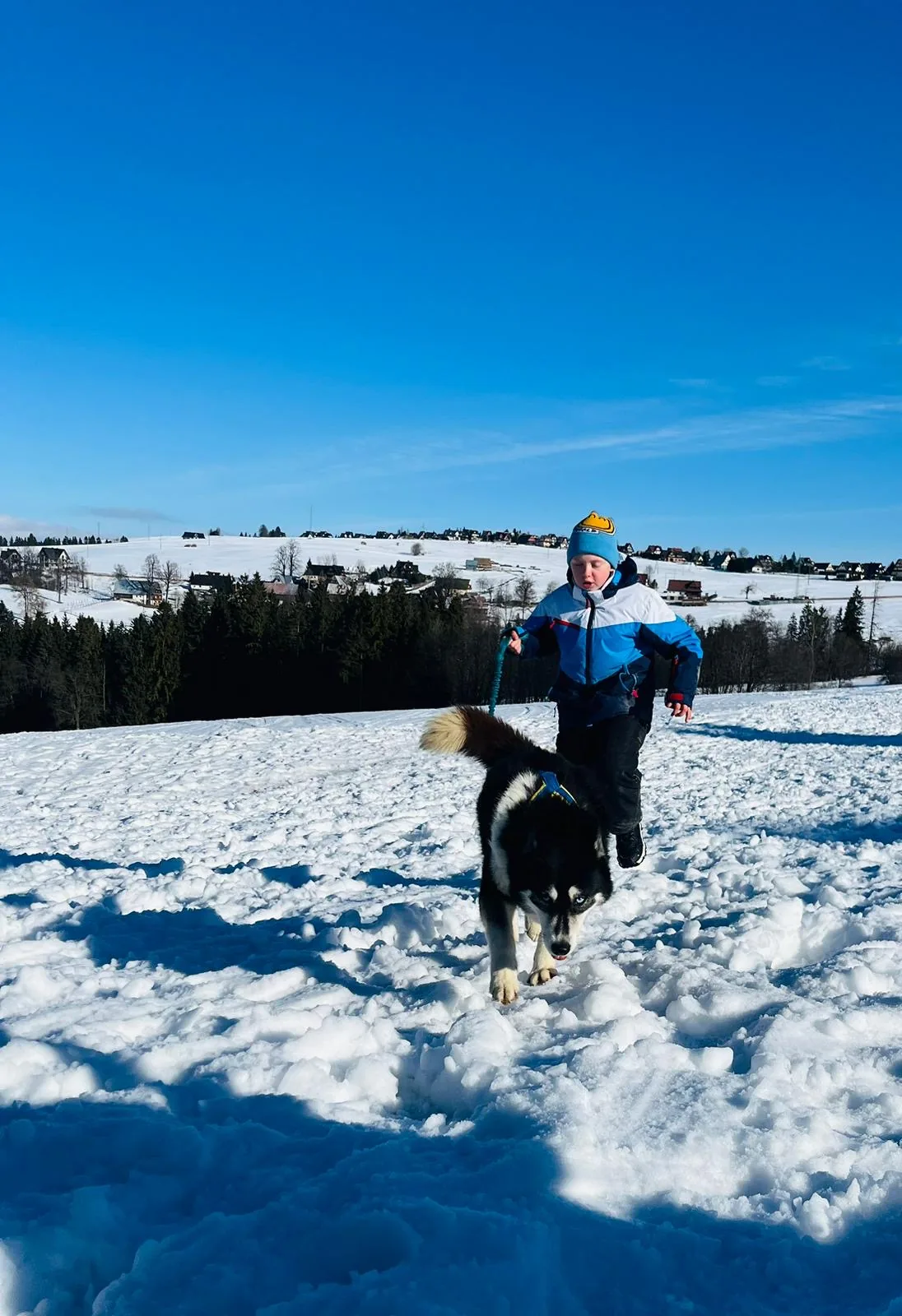 25.01-31.01.2026 Obóz zimowy z psami zaprzęgowymi