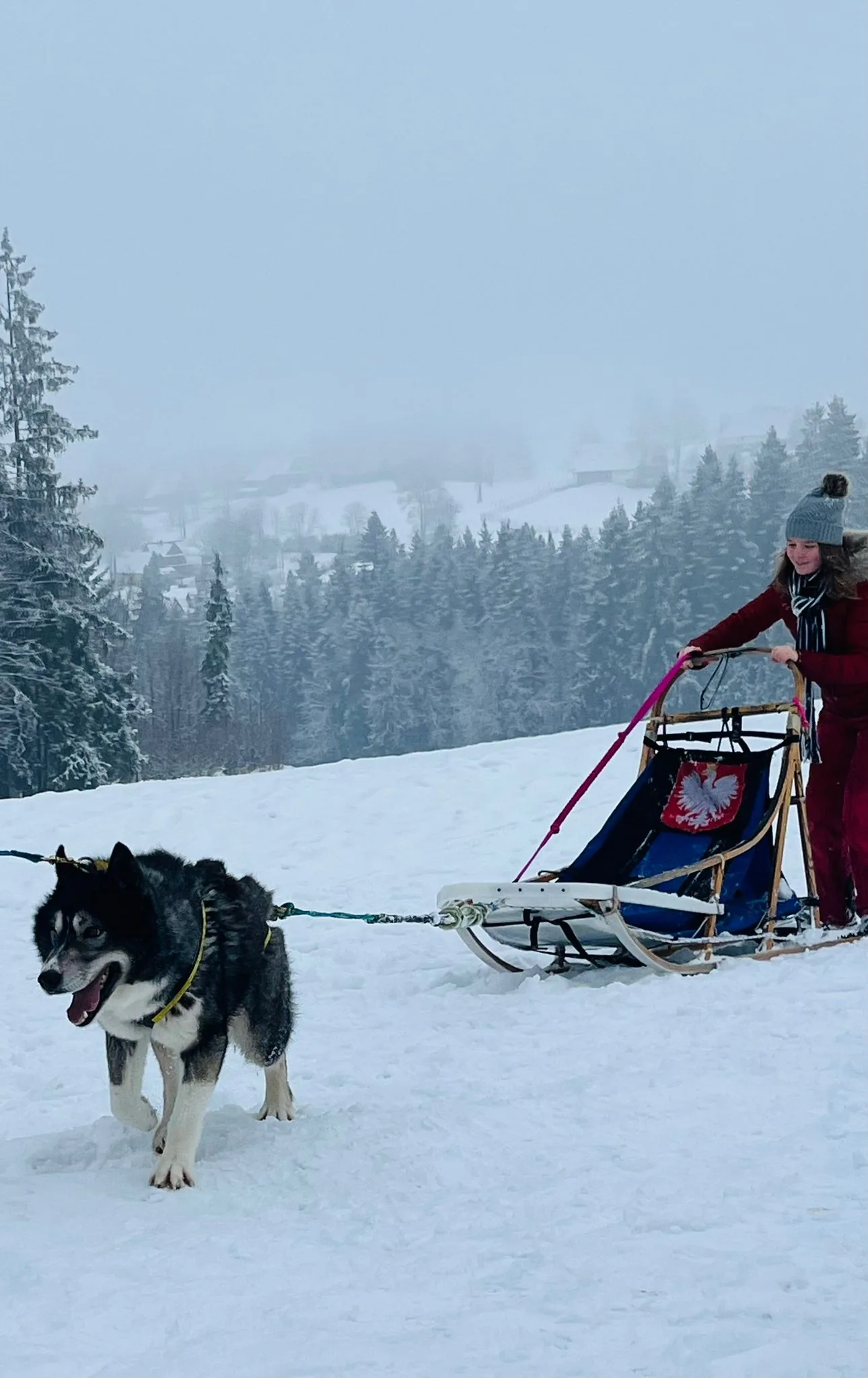 25.01-31.01.2026 Obóz zimowy z psami zaprzęgowymi