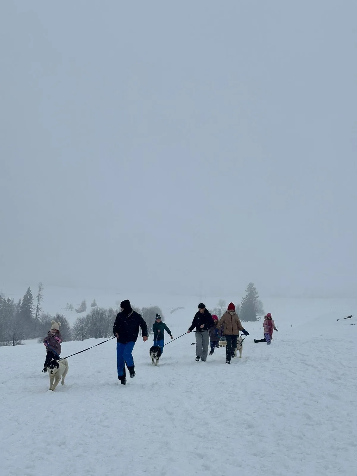 25.01-31.01.2026 Obóz zimowy z psami zaprzęgowymi