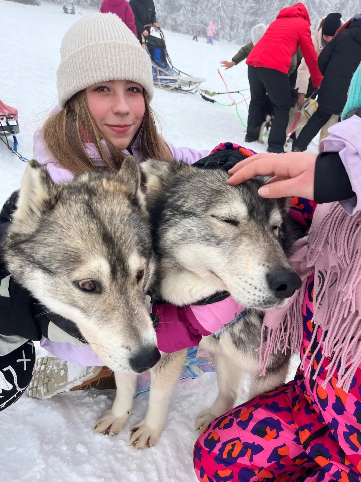 25.01-31.01.2026 Obóz zimowy z psami zaprzęgowymi