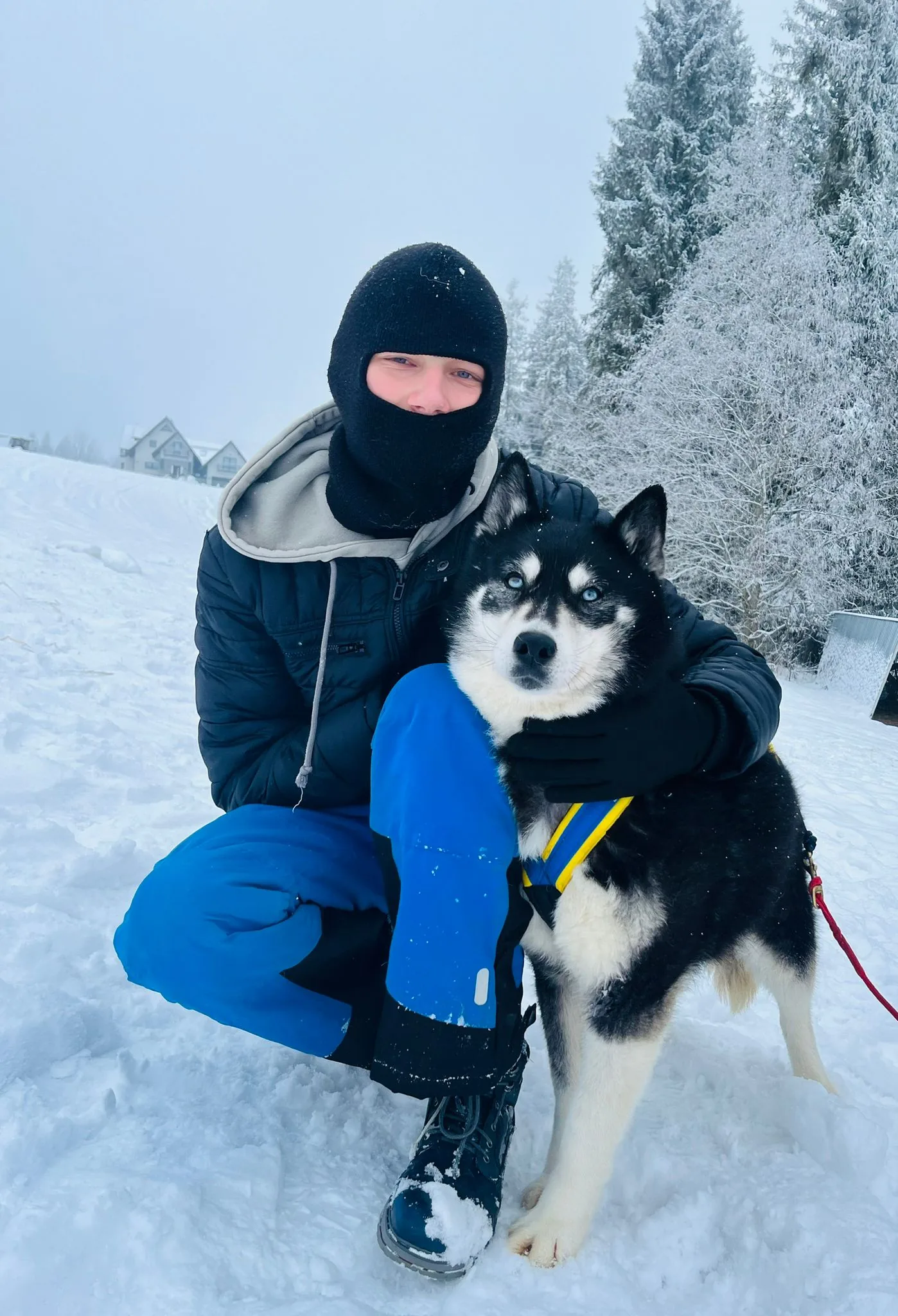 25.01-31.01.2026 Obóz zimowy z psami zaprzęgowymi