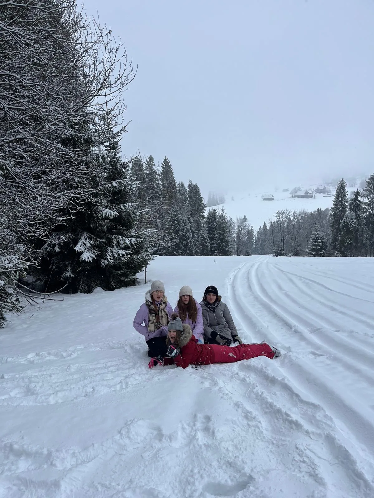 25.01-31.01.2026 Obóz zimowy z psami zaprzęgowymi