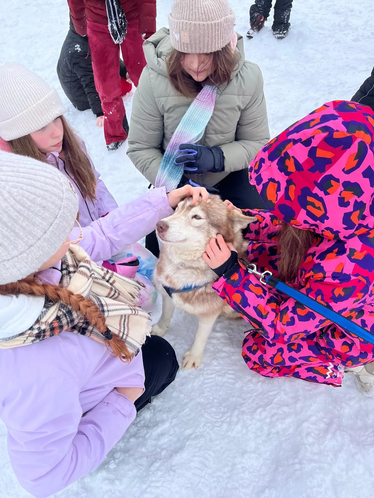 25.01-31.01.2026 Obóz zimowy z psami zaprzęgowymi
