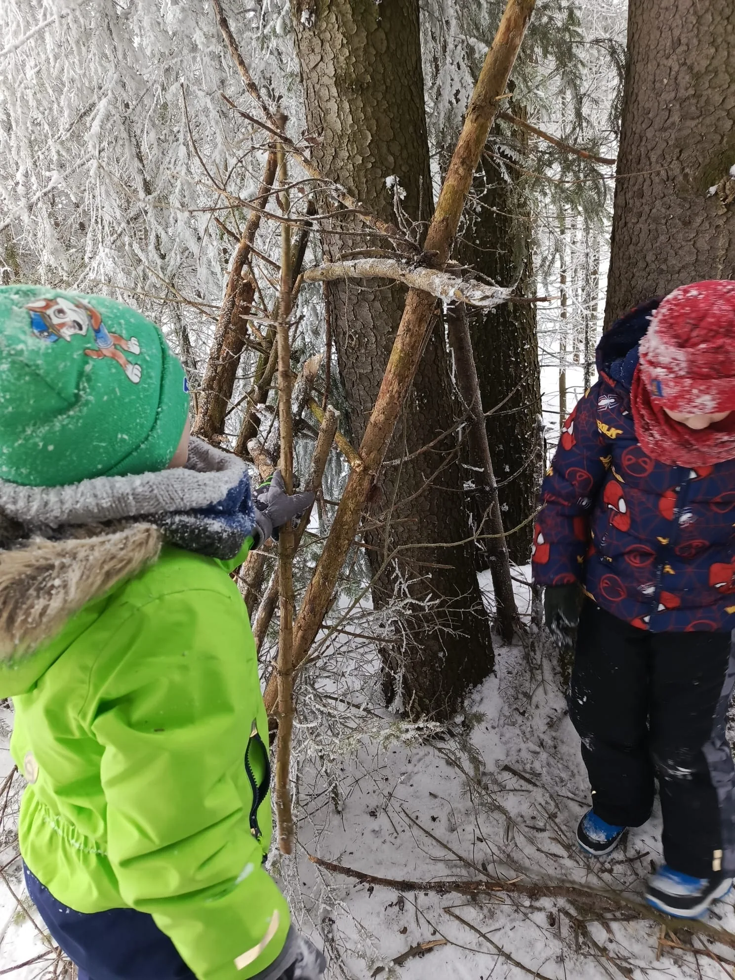 25.01-31.01.2026 Obóz zimowy z psami zaprzęgowymi