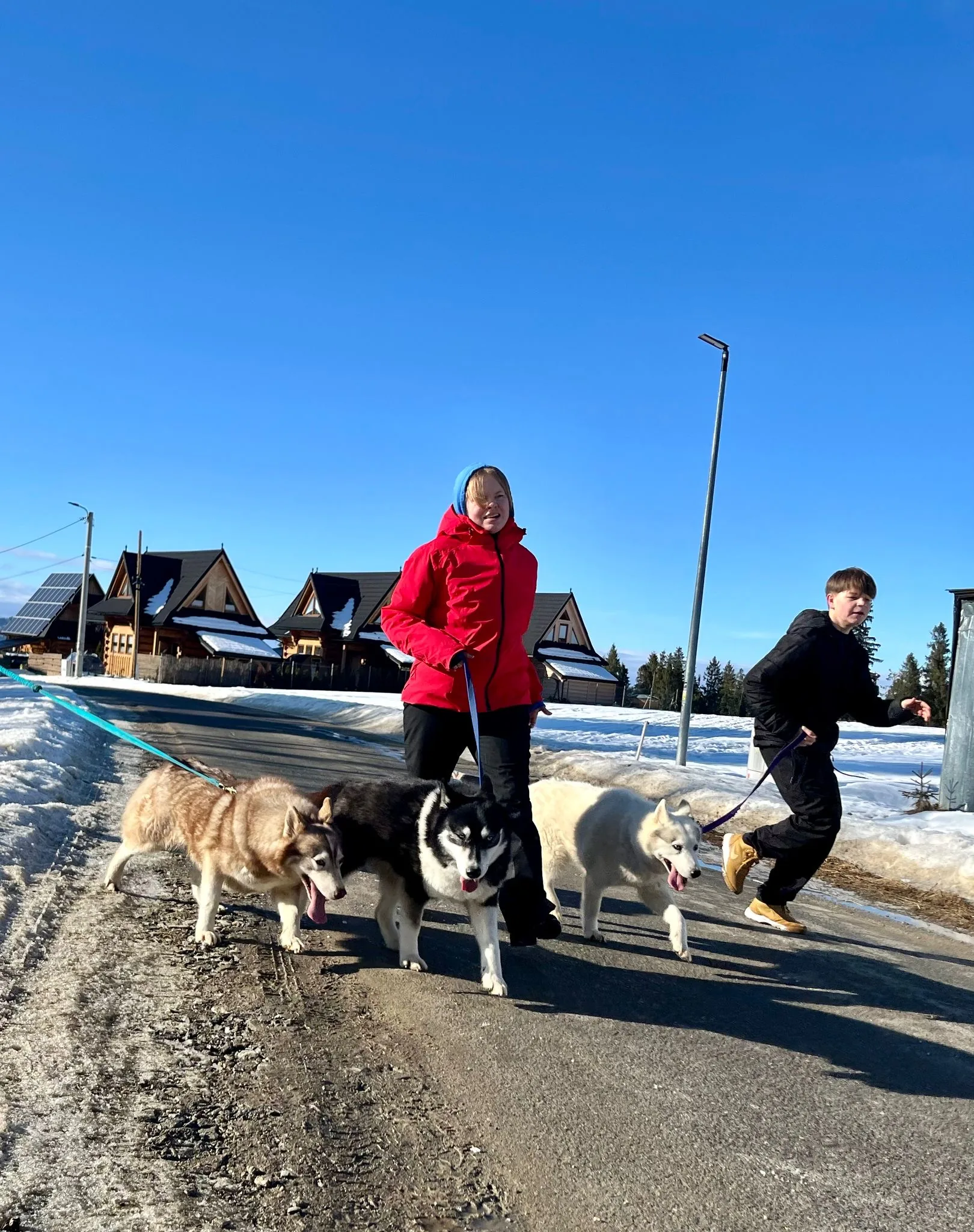 25.01-31.01.2026 Obóz zimowy z psami zaprzęgowymi