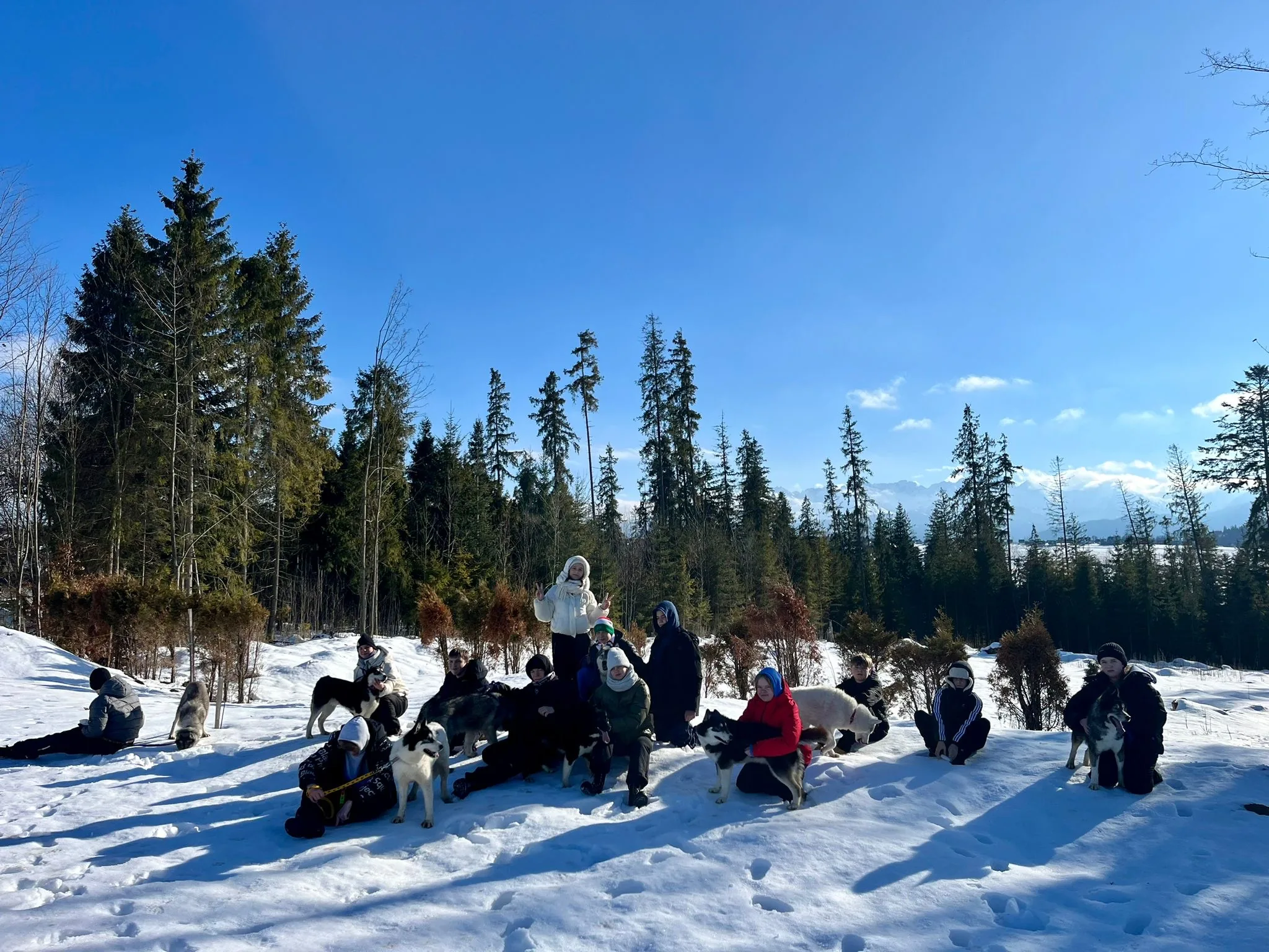 25.01-31.01.2026 Obóz zimowy z psami zaprzęgowymi