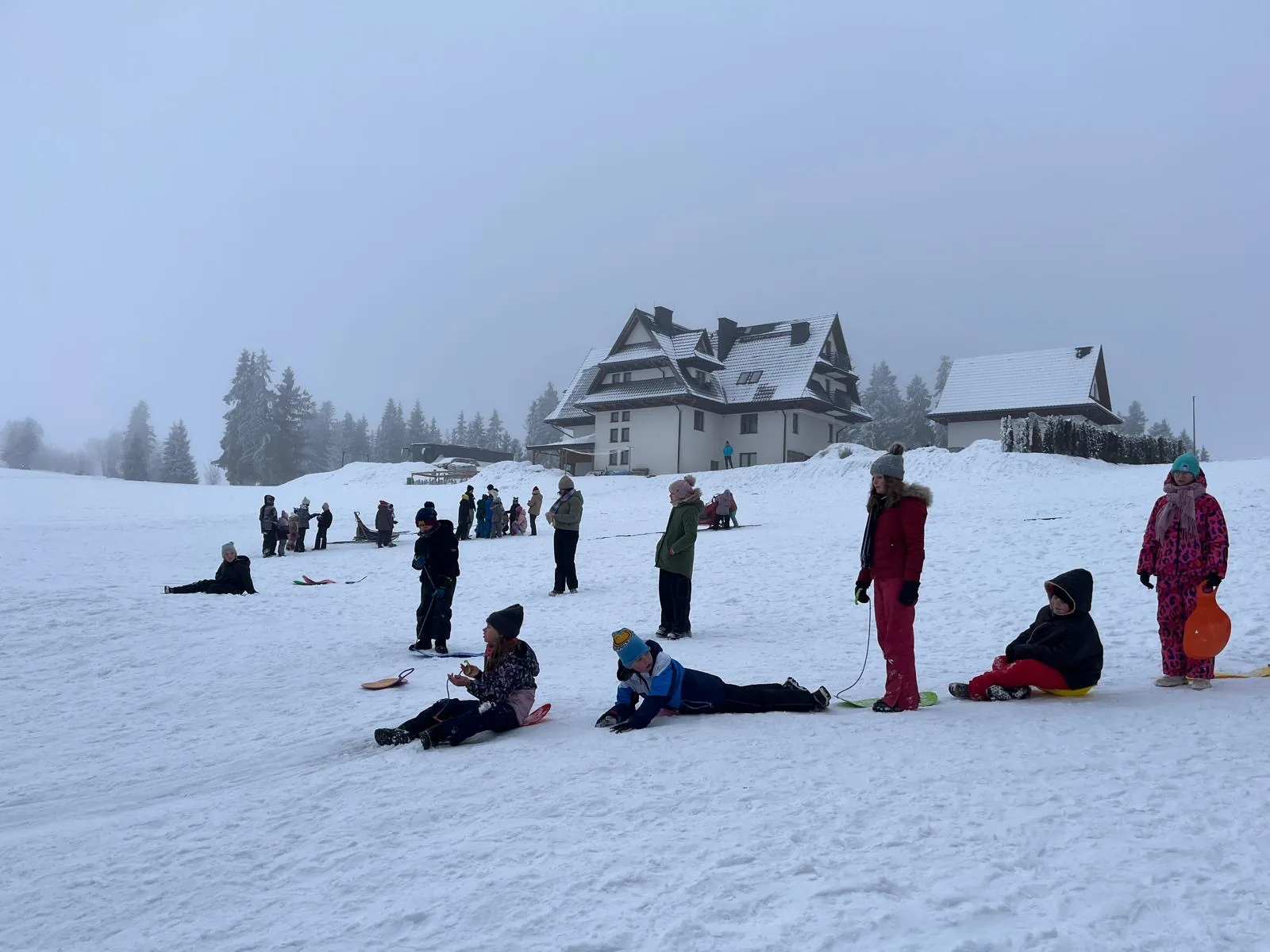 25.01-31.01.2026 Obóz zimowy z psami zaprzęgowymi