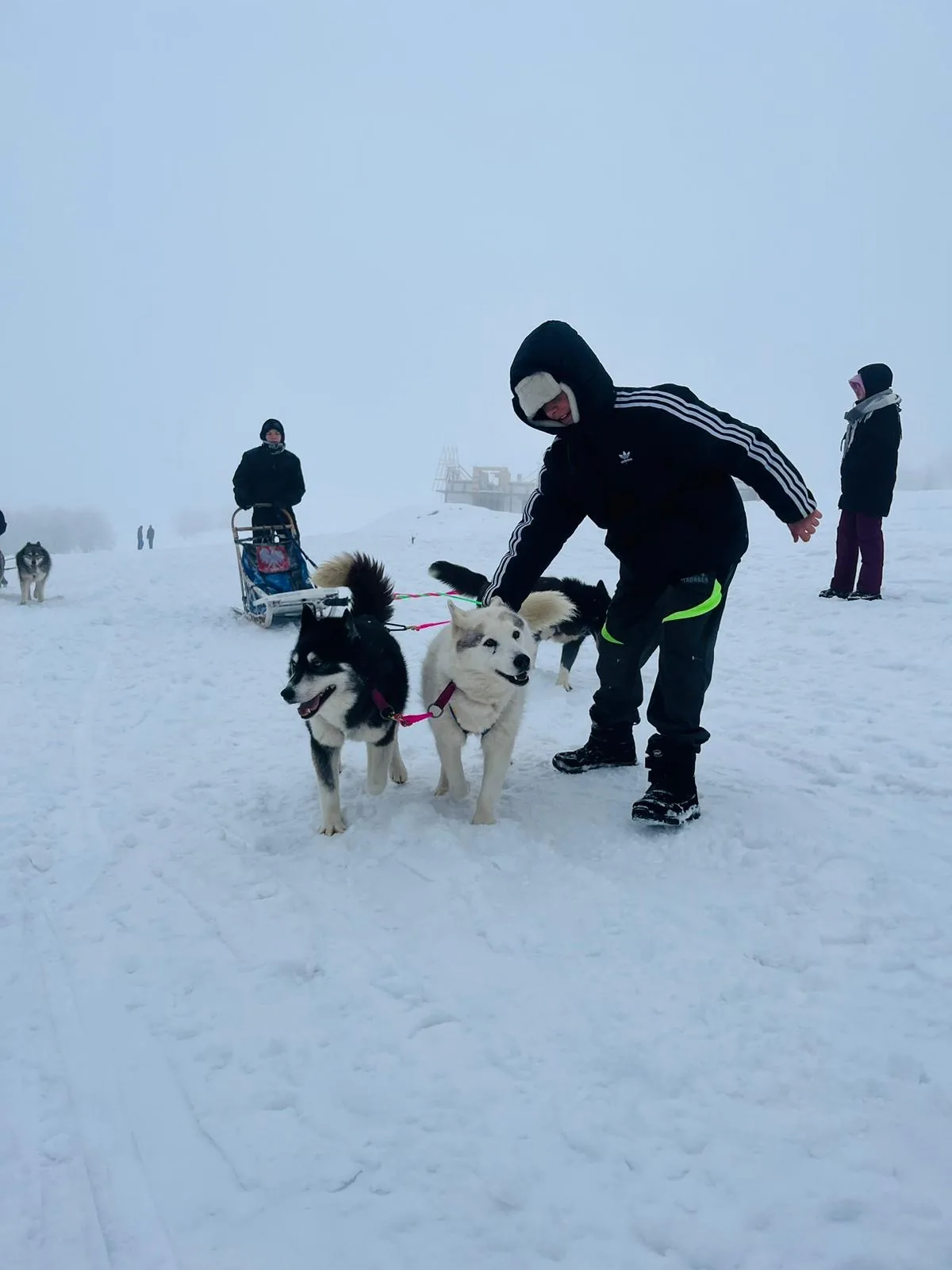 25.01-31.01.2026 Obóz zimowy z psami zaprzęgowymi