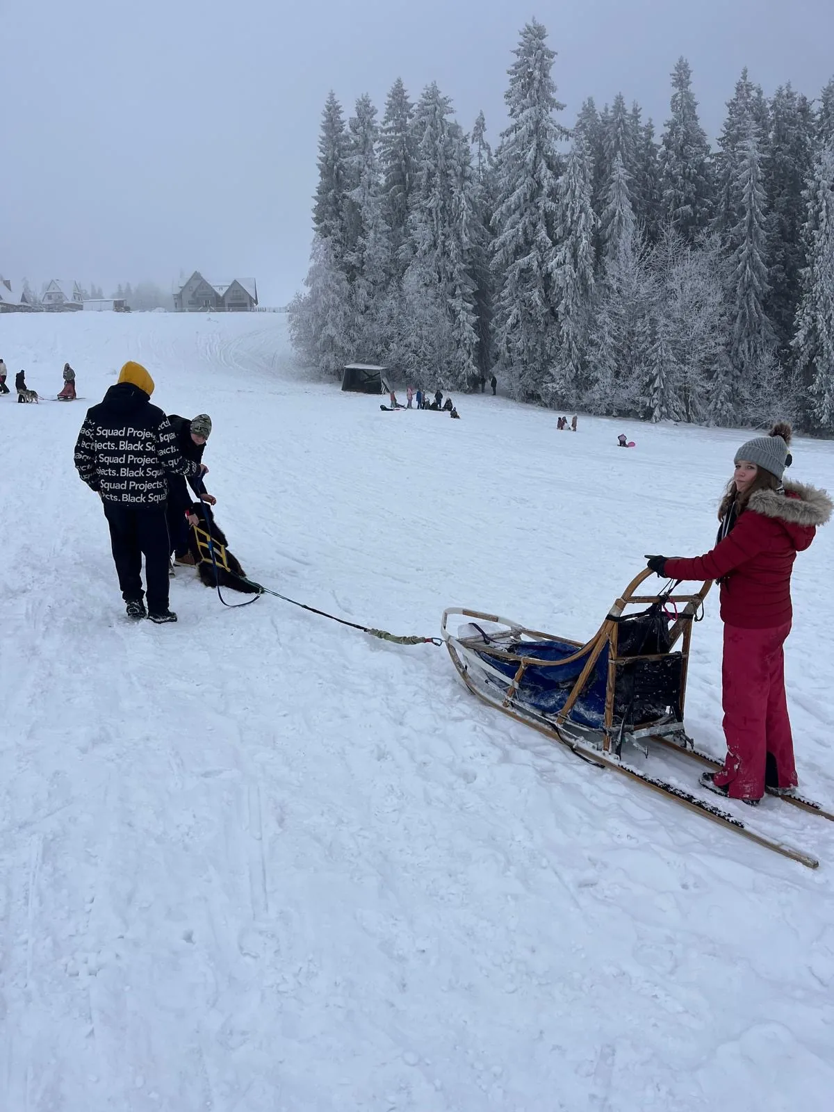 25.01-31.01.2026 Obóz zimowy z psami zaprzęgowymi