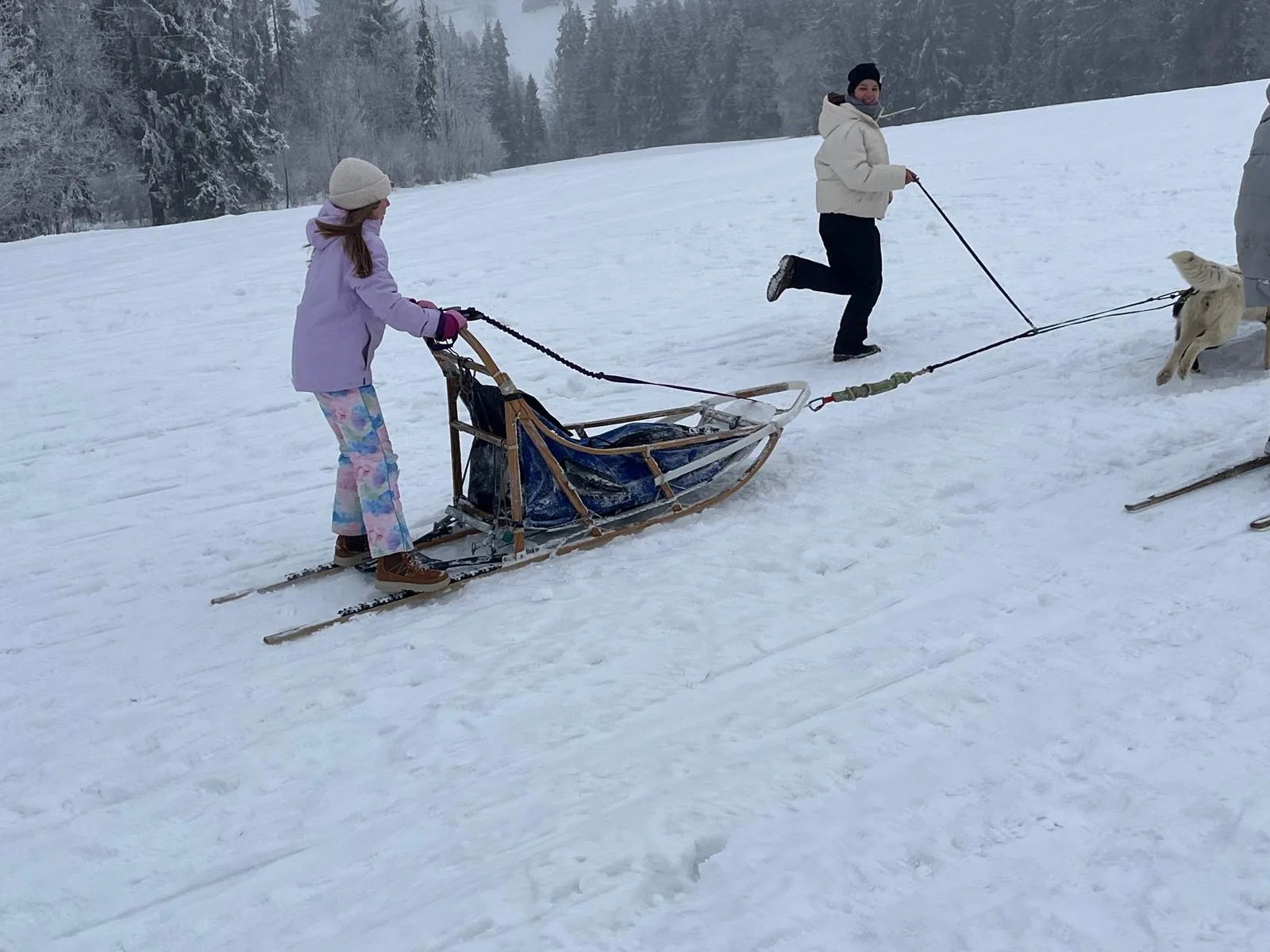 25.01-31.01.2026 Obóz zimowy z psami zaprzęgowymi