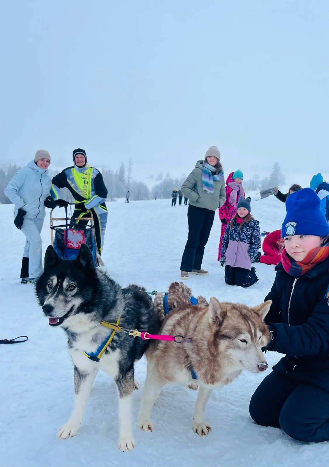 25.01-31.01.2026 Obóz zimowy z psami zaprzęgowymi