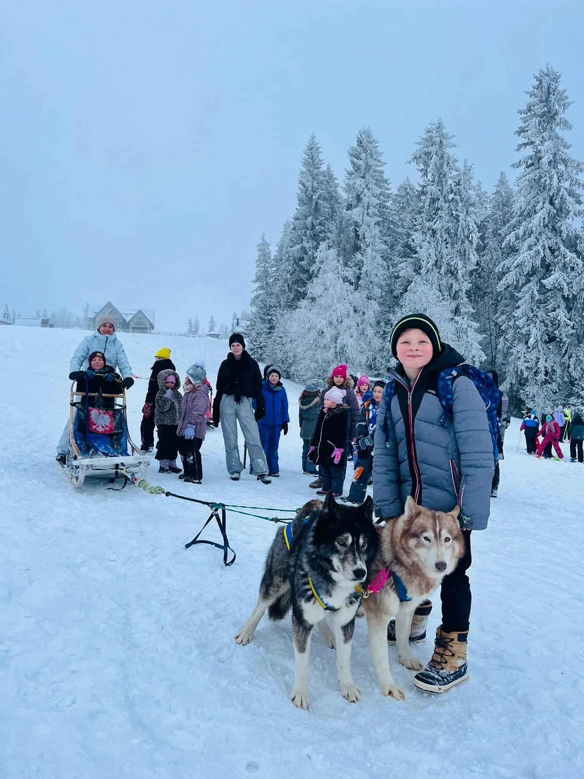 25.01-31.01.2026 Obóz zimowy z psami zaprzęgowymi