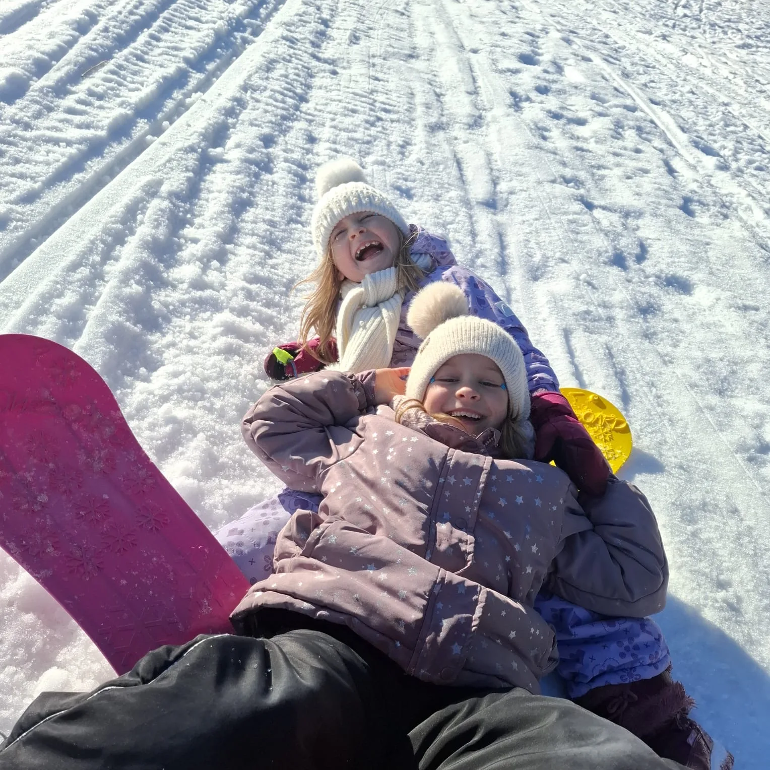 25.01-31.01.2026 Obóz zimowy z psami zaprzęgowymi