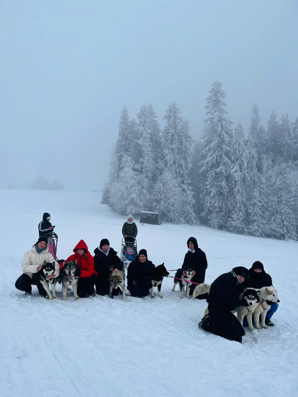 25.01-31.01.2026 Obóz zimowy z psami zaprzęgowymi