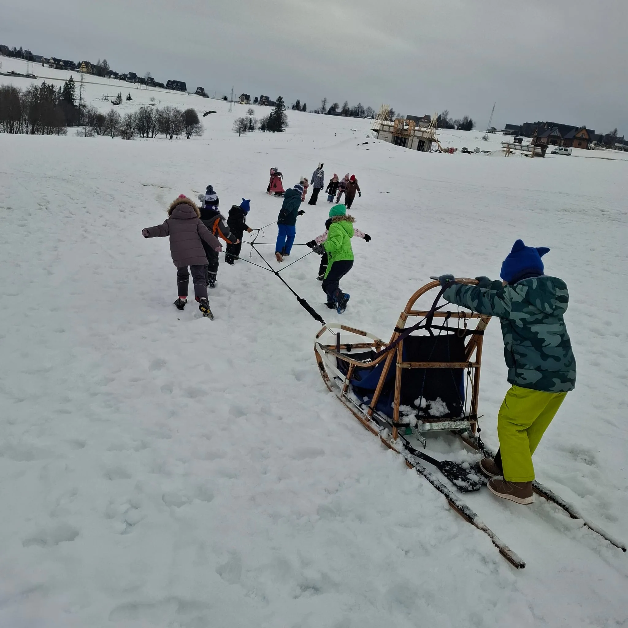 25.01-31.01.2026 Obóz zimowy z psami zaprzęgowymi
