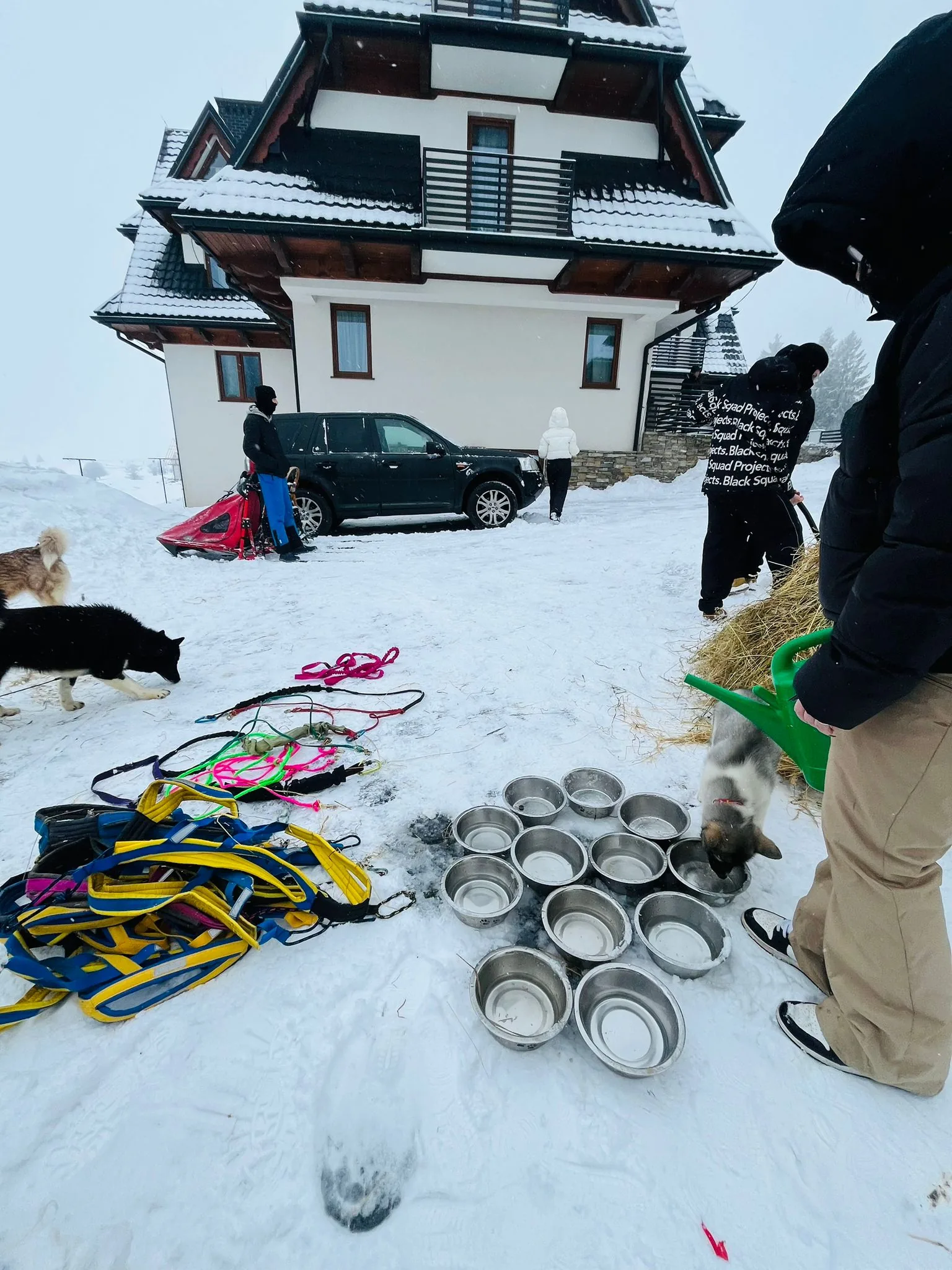 25.01-31.01.2026 Obóz zimowy z psami zaprzęgowymi
