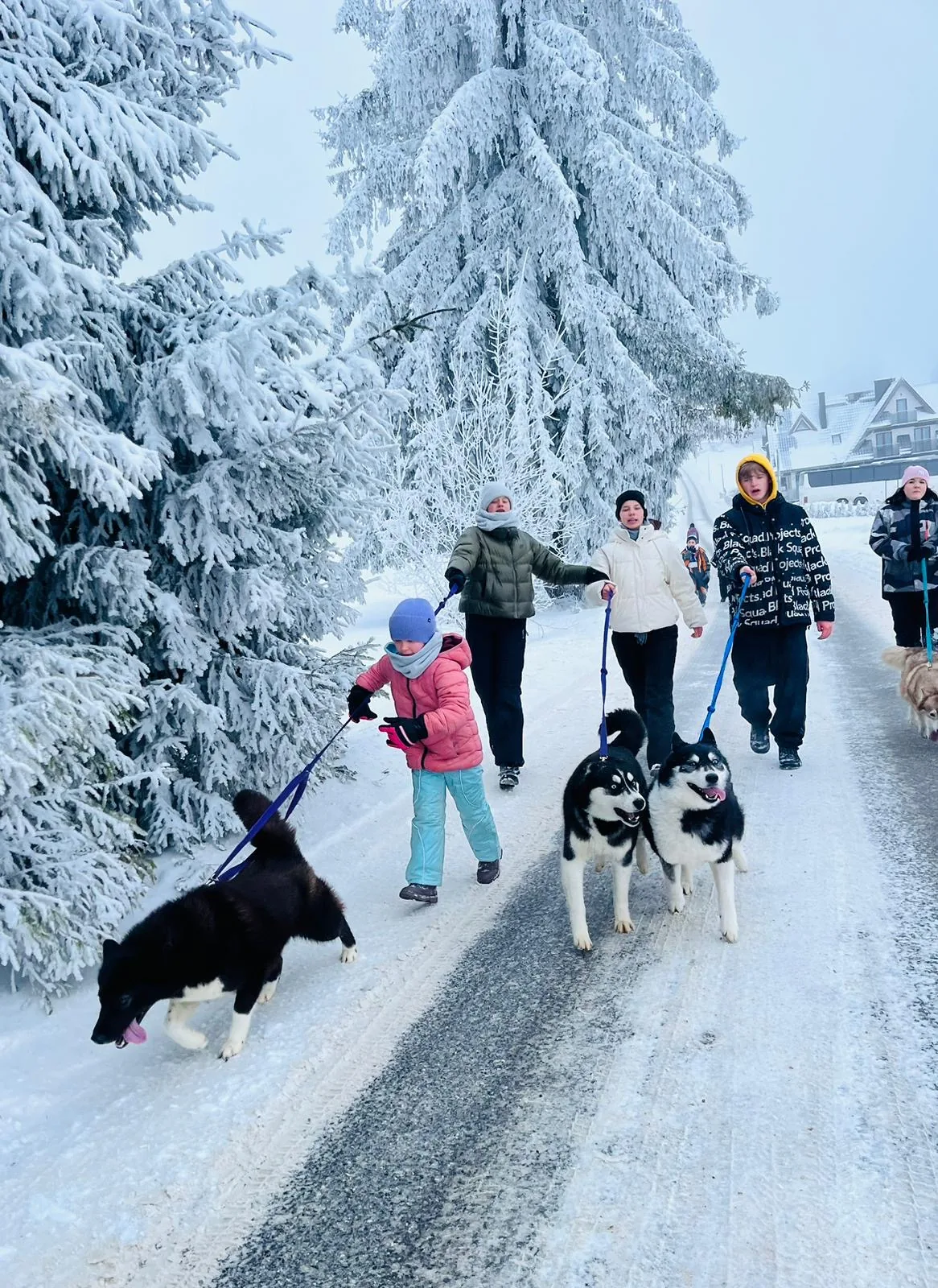 25.01-31.01.2026 Obóz zimowy z psami zaprzęgowymi