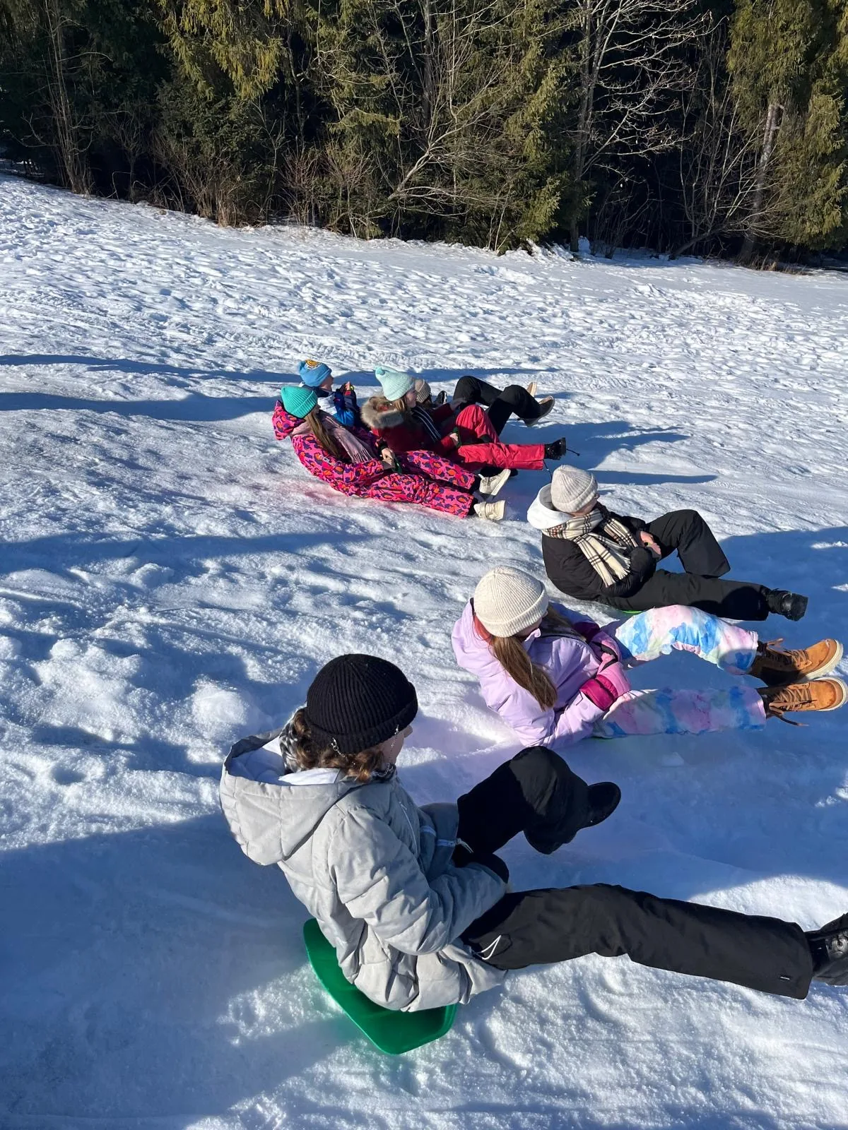 25.01-31.01.2026 Obóz zimowy z psami zaprzęgowymi