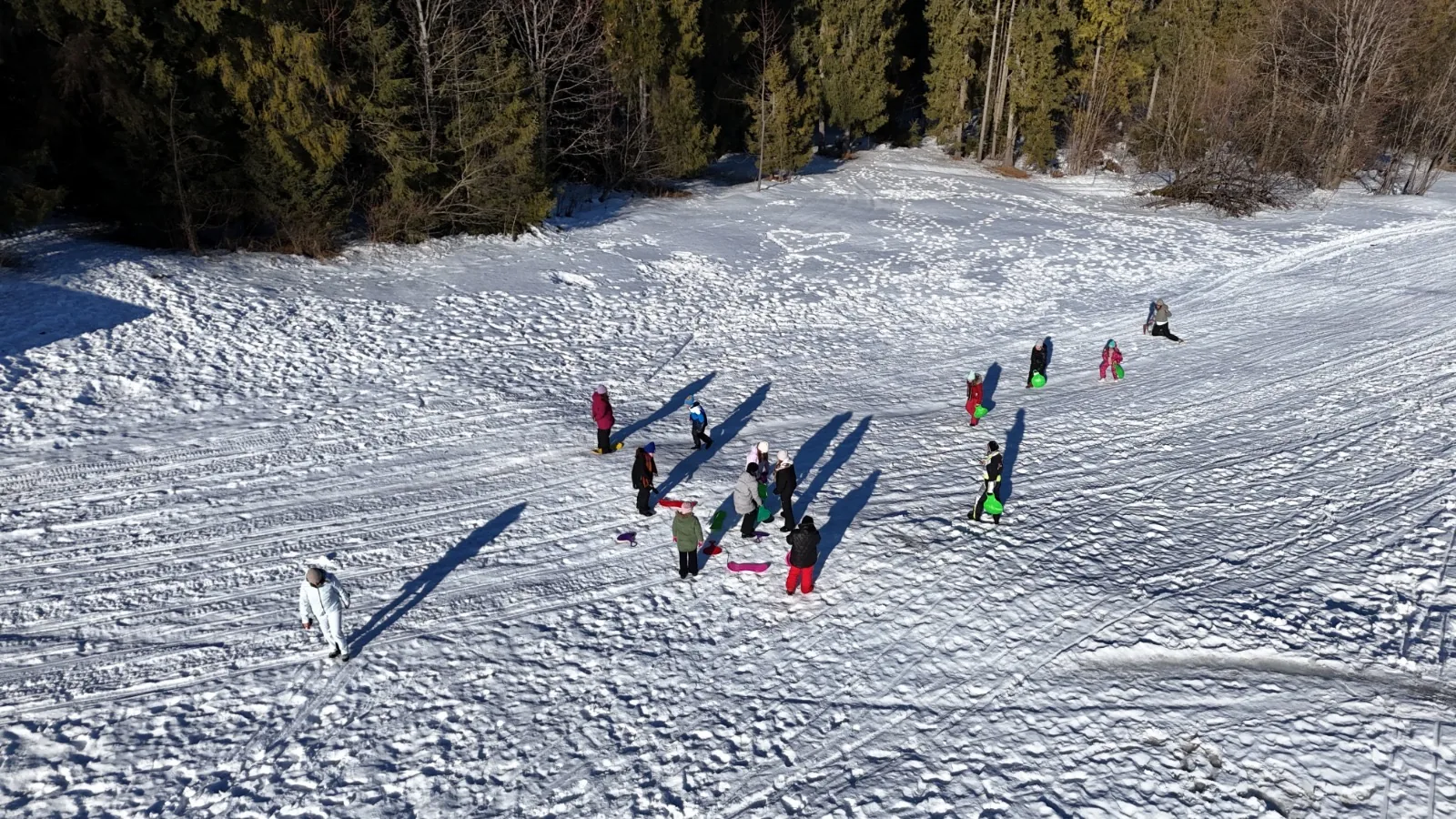 25.01-31.01.2026 Obóz zimowy z psami zaprzęgowymi