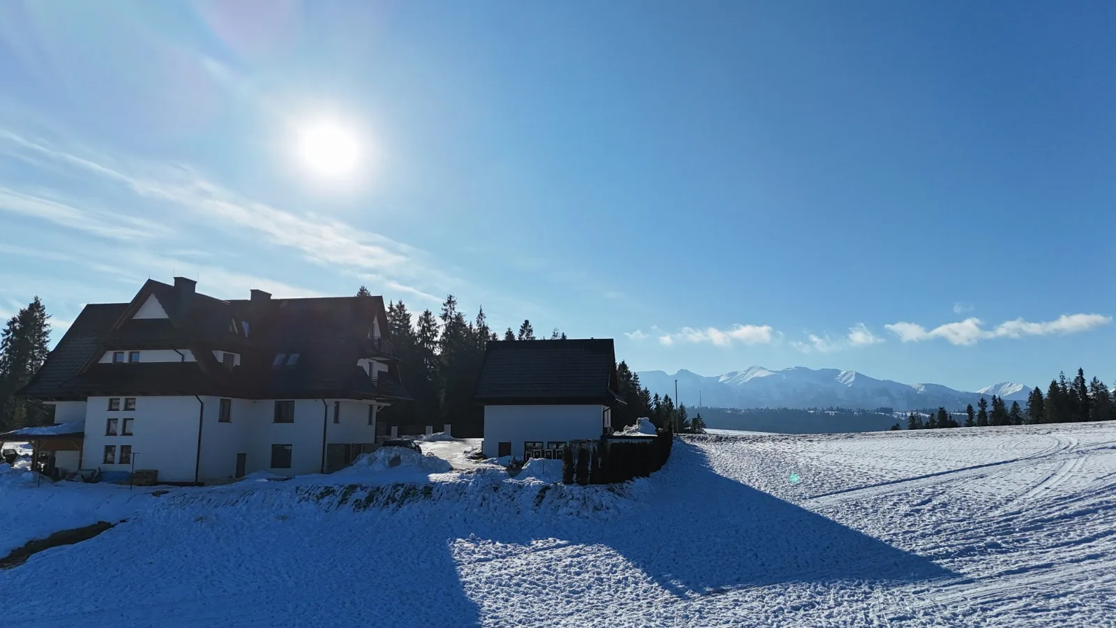25.01-31.01.2026 Obóz zimowy z psami zaprzęgowymi