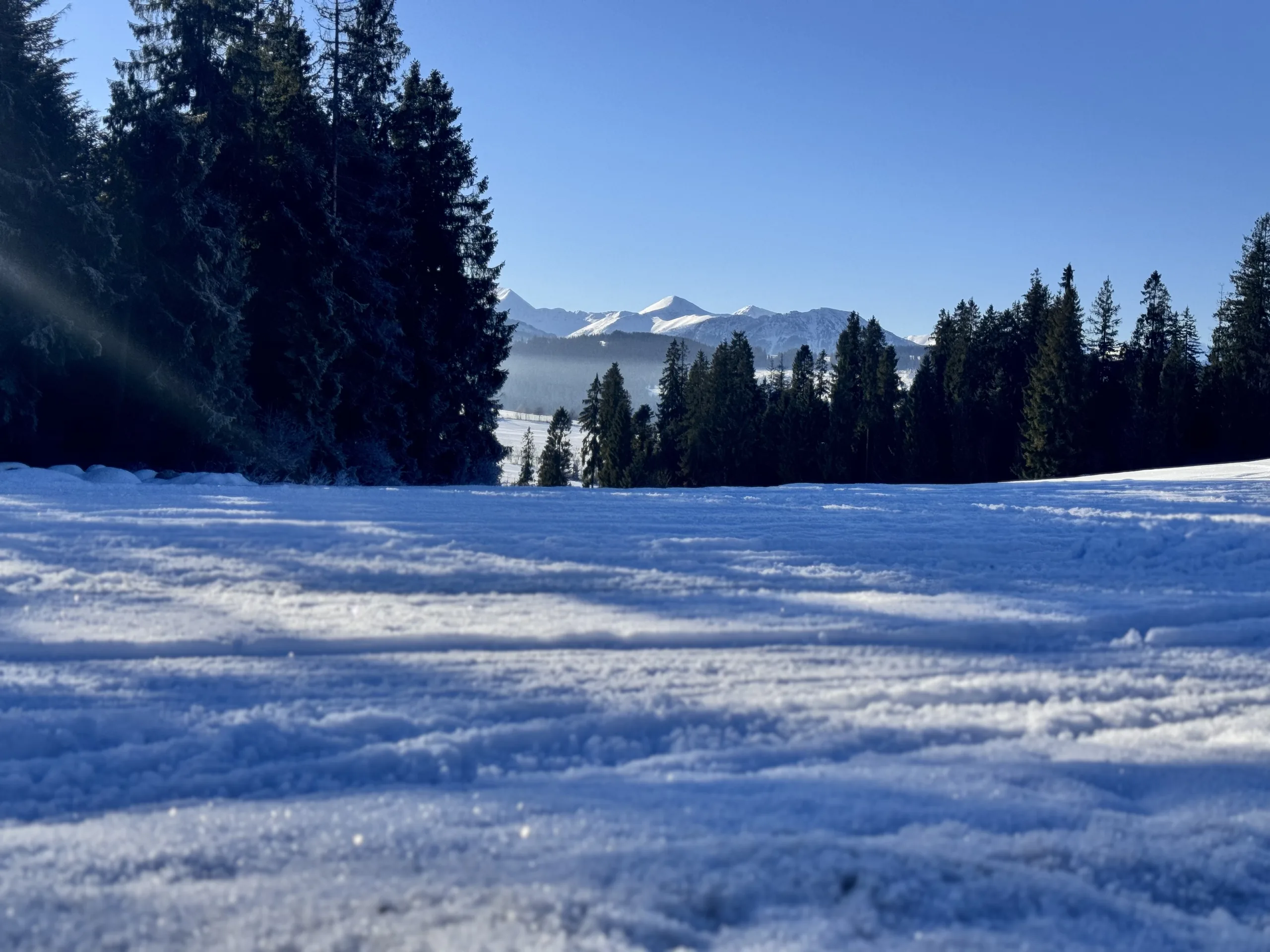 18.01-24.01.2026 Obóz zimowy rekreacyjny w Zębie