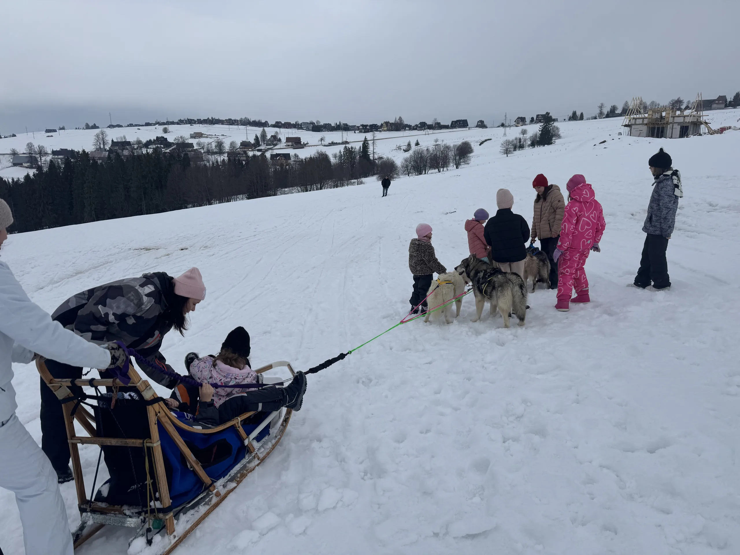 25.01-31.01.2026 Obóz zimowy z psami zaprzęgowymi