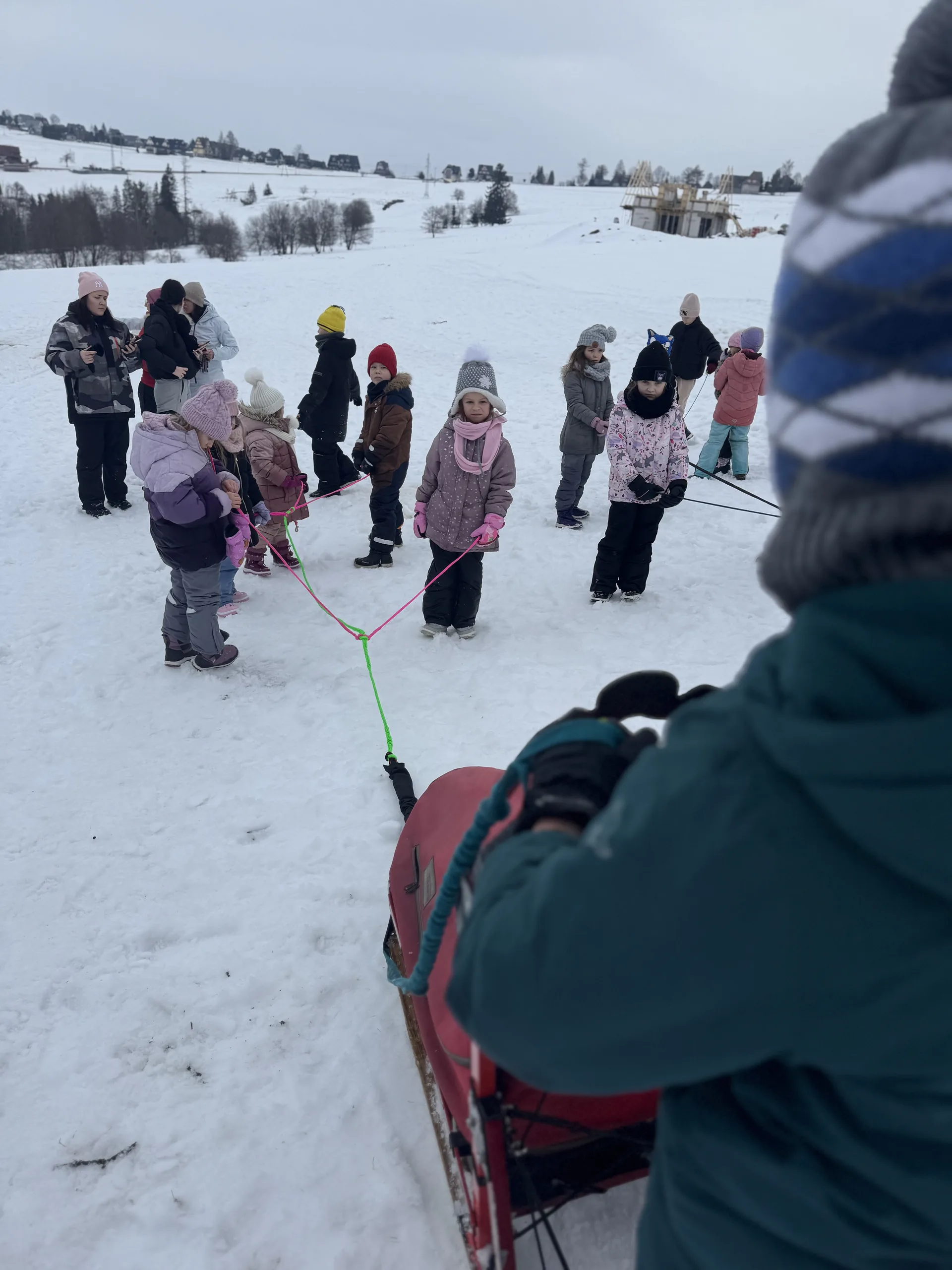 25.01-31.01.2026 Obóz zimowy z psami zaprzęgowymi