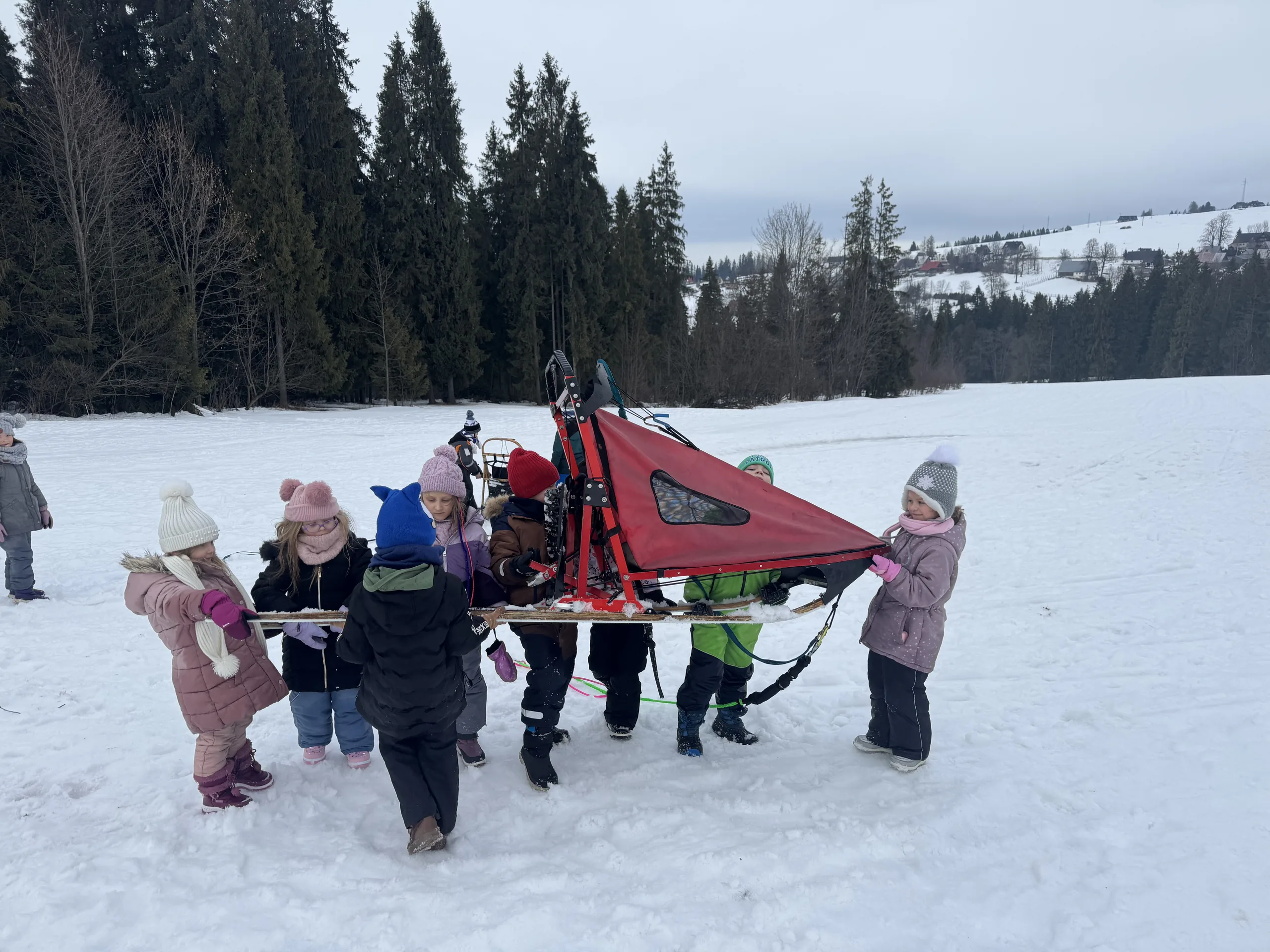 25.01-31.01.2026 Obóz zimowy z psami zaprzęgowymi