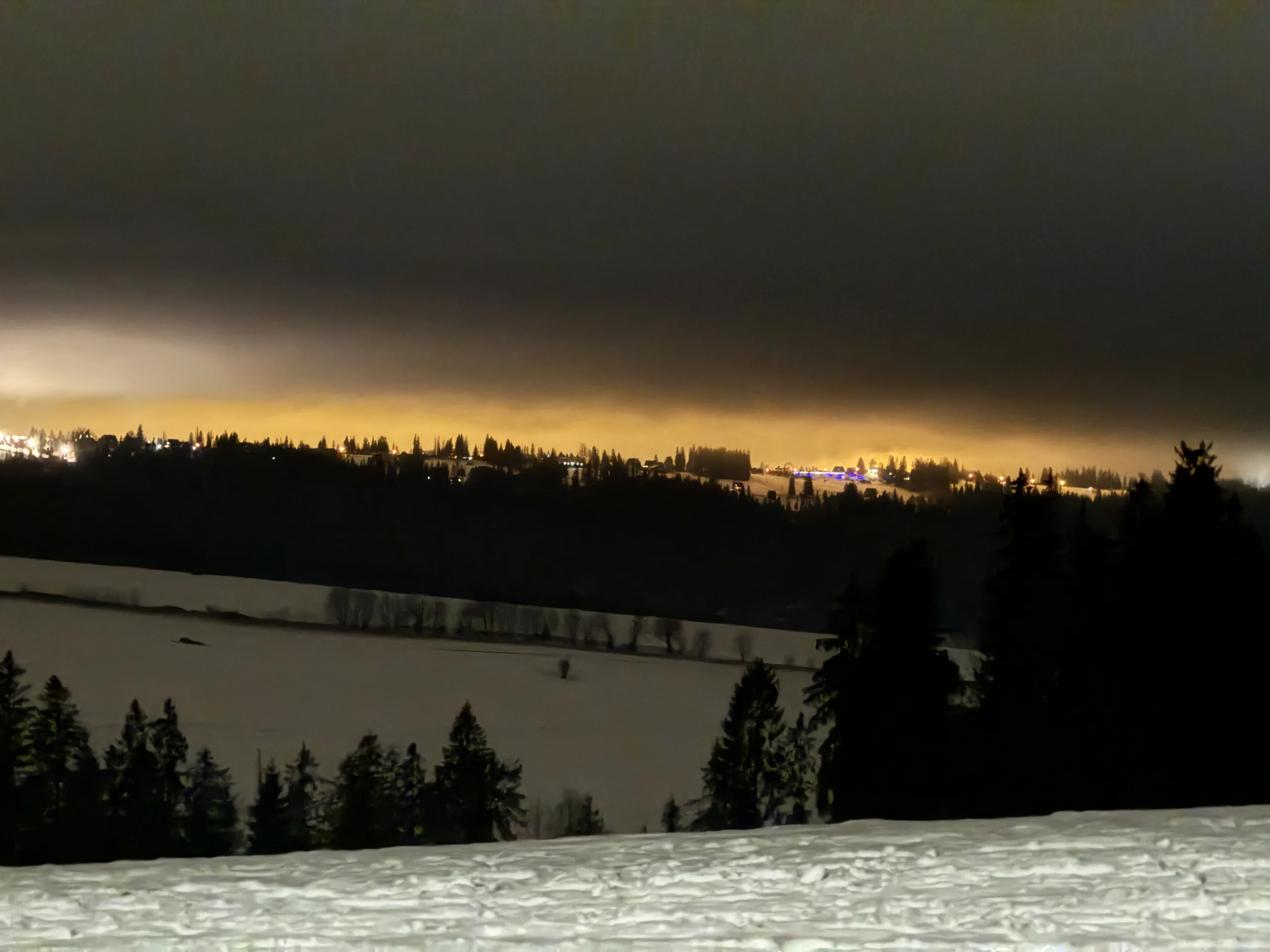 25.01-31.01.2026 Obóz zimowy z psami zaprzęgowymi