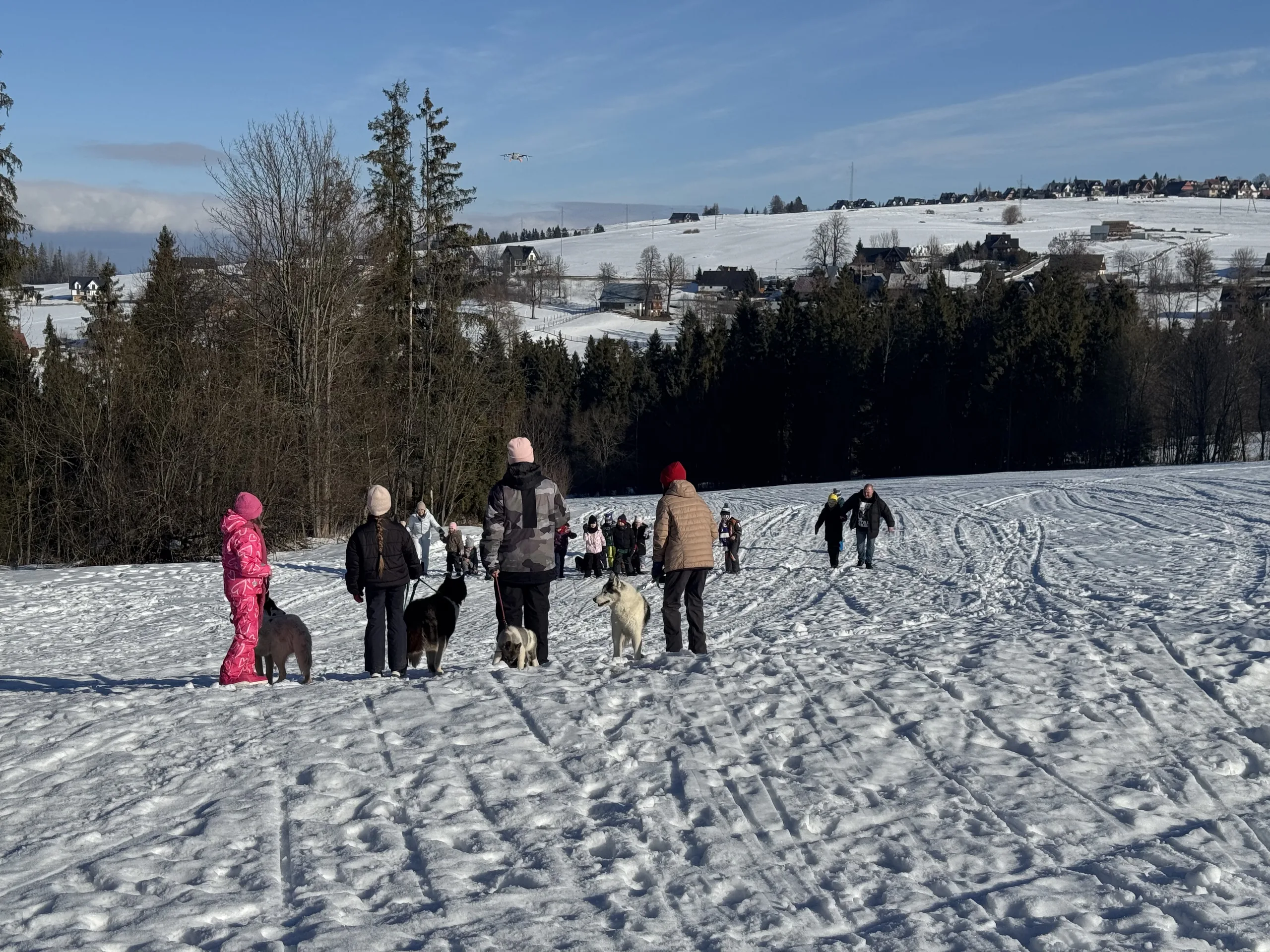 25.01-31.01.2026 Obóz zimowy z psami zaprzęgowymi