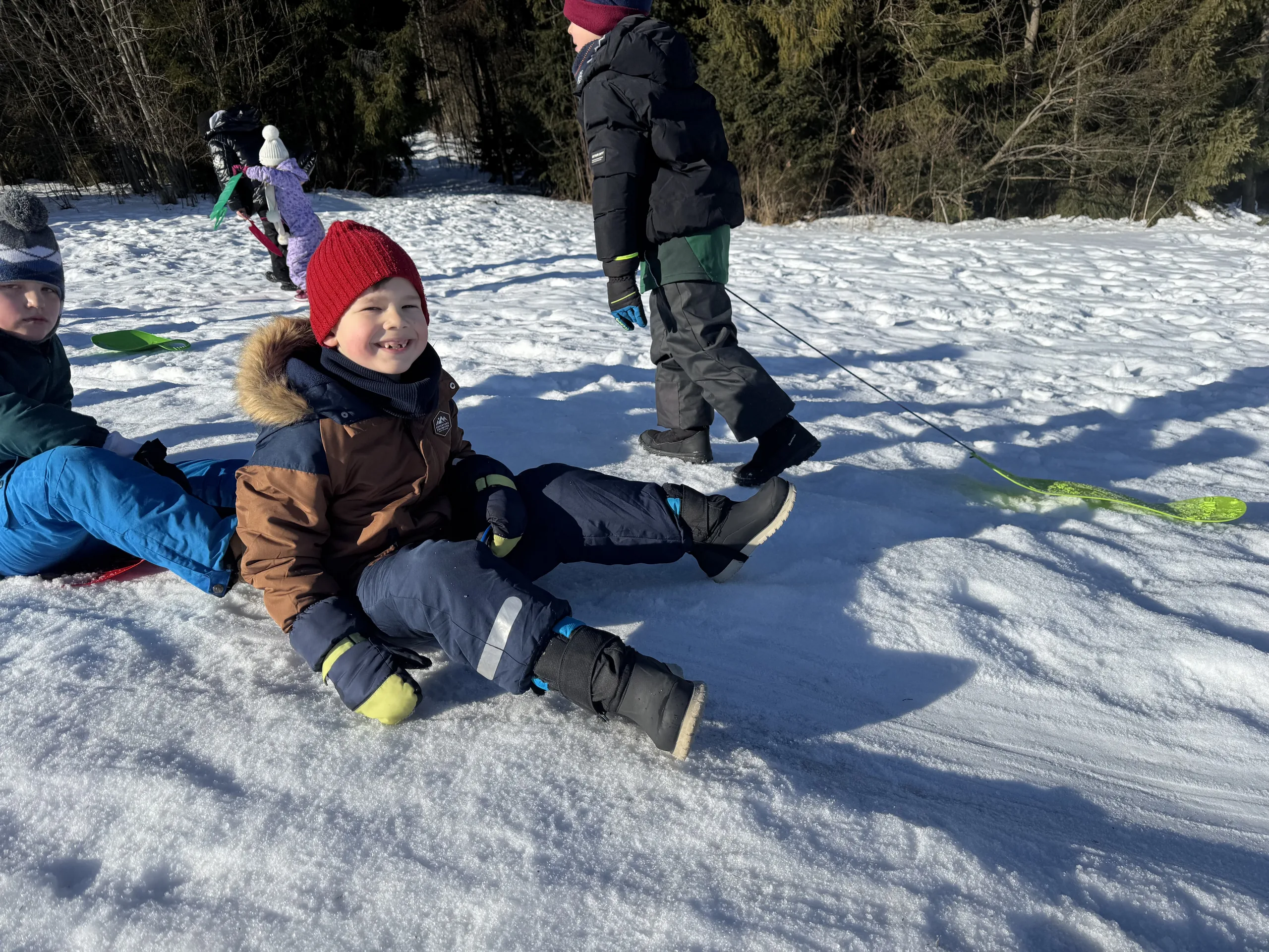25.01-31.01.2026 Obóz zimowy z psami zaprzęgowymi